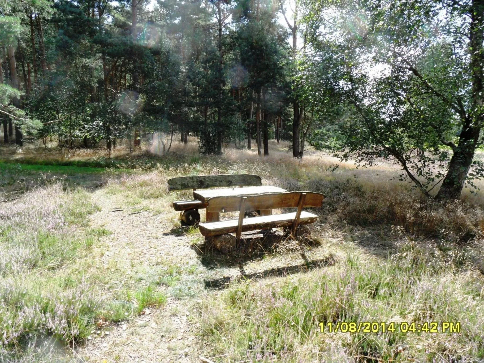 Hiking in Ferienwohnung Uchte