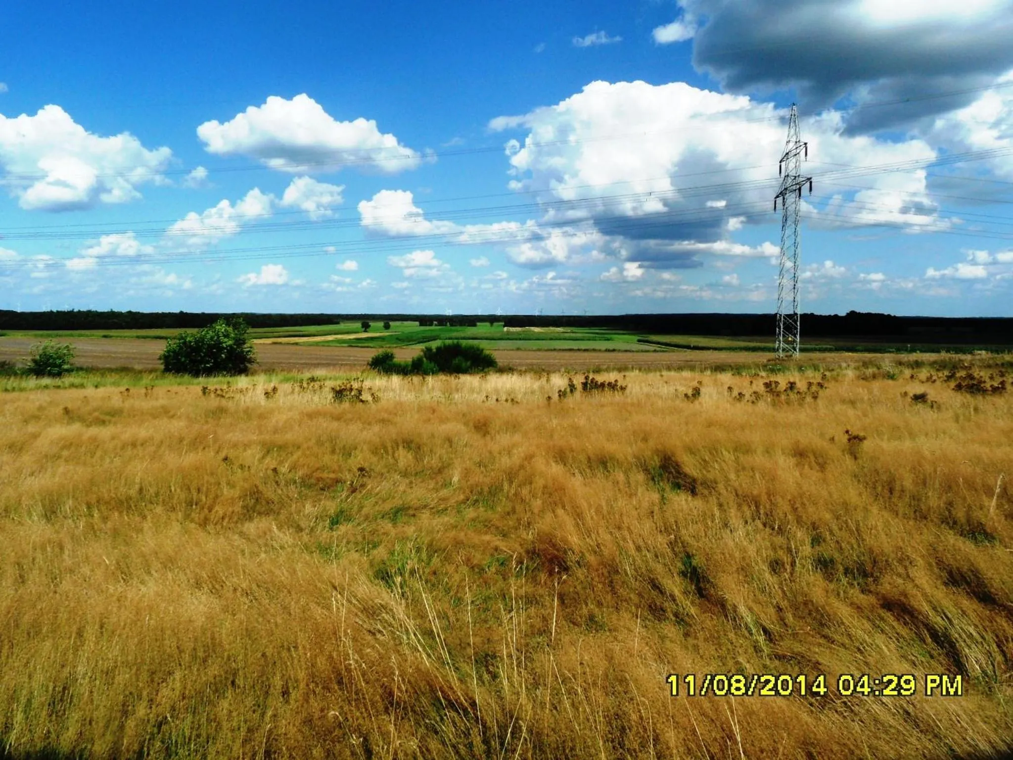 Natural landscape in Ferienwohnung Uchte
