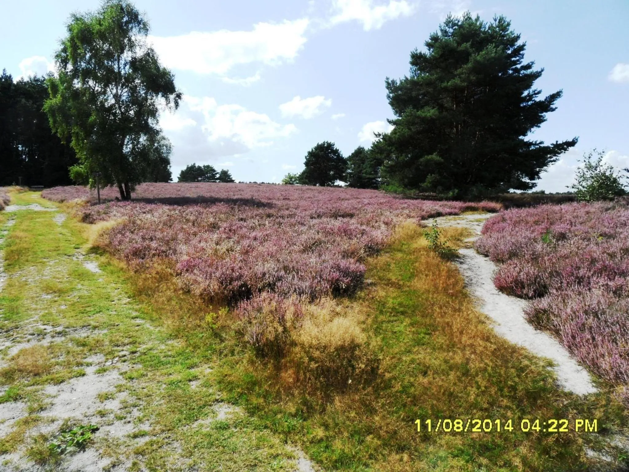 Hiking in Ferienwohnung Uchte