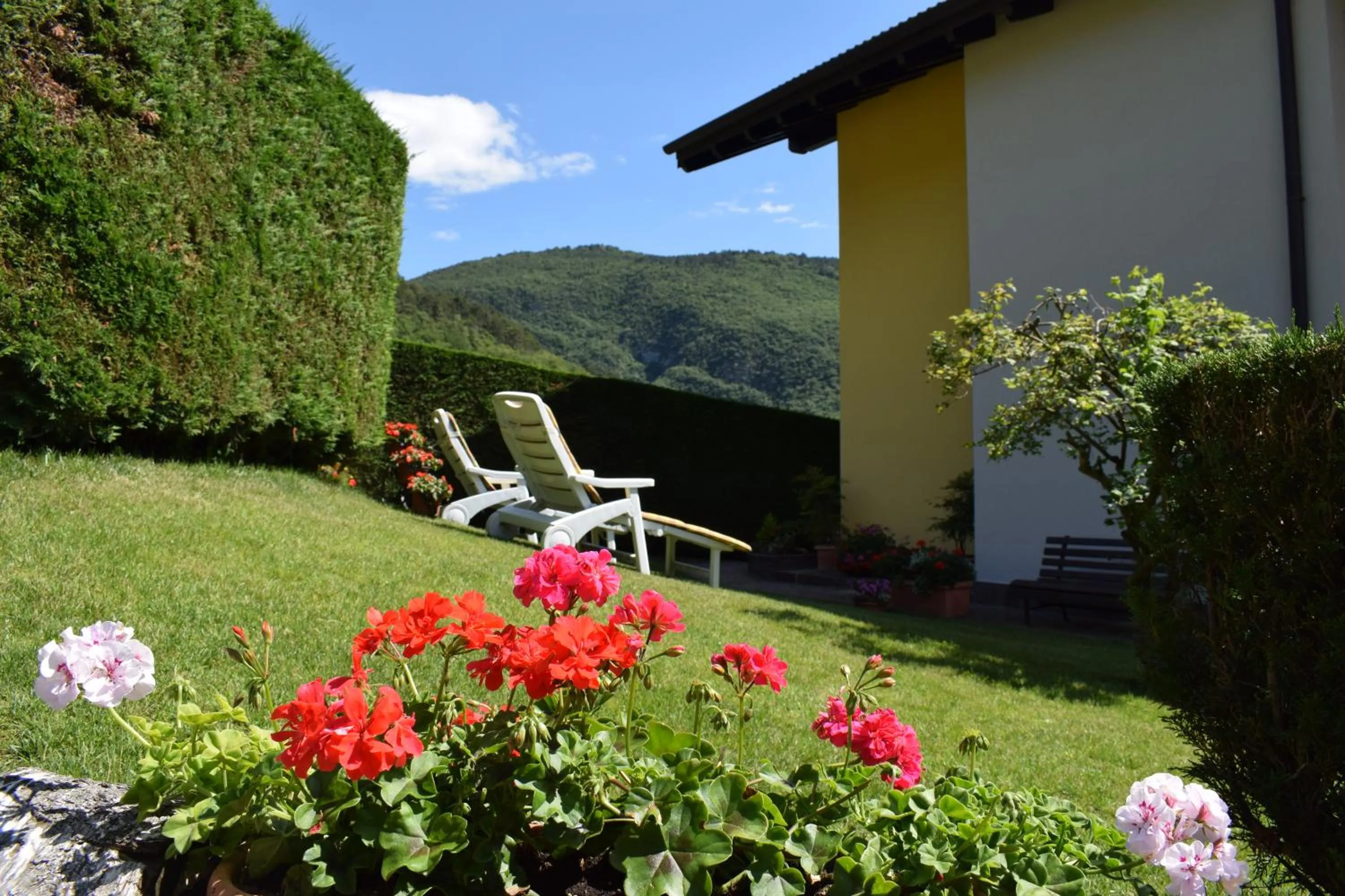 Garden in B&B Nonno Carlo