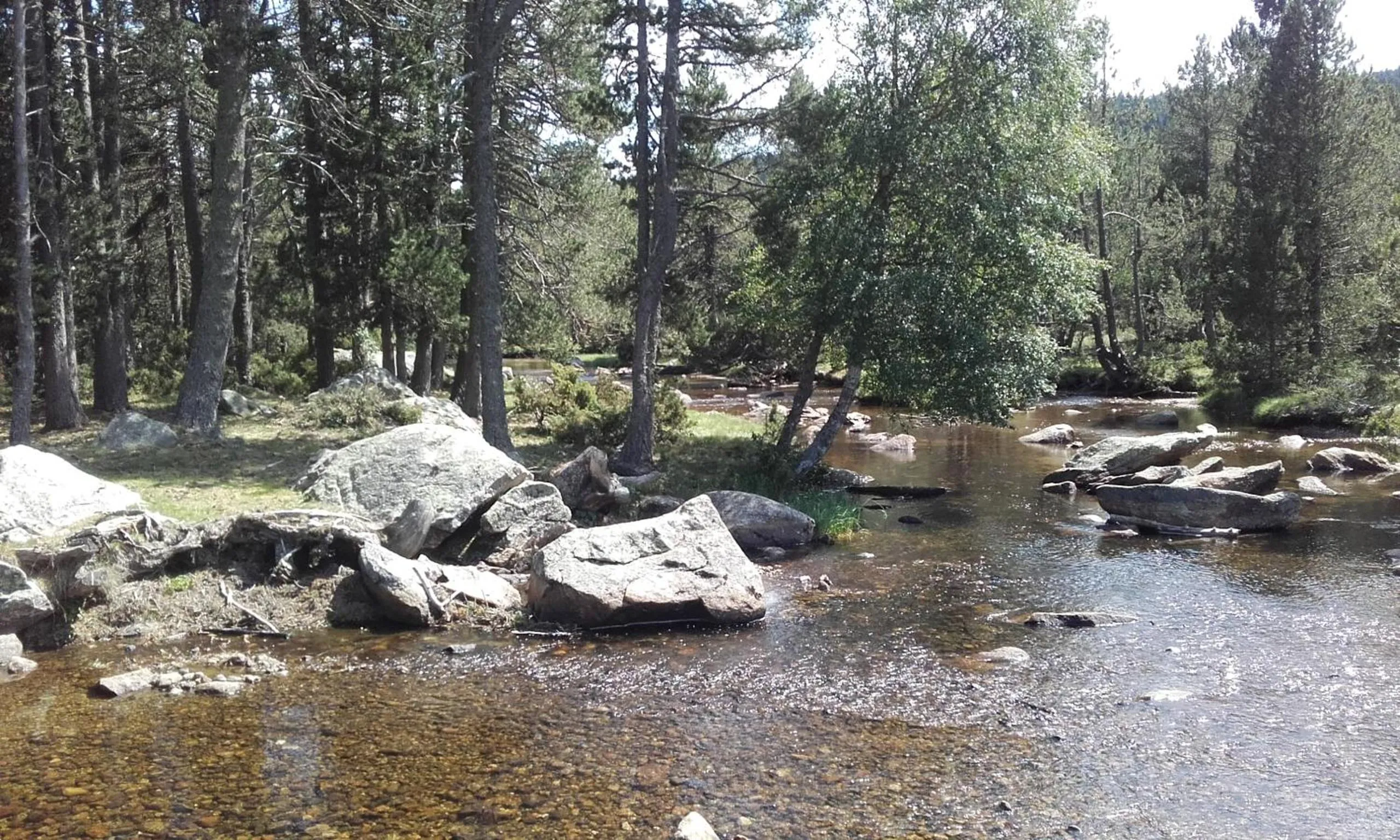 Spring in Résidence Le Pic de l'Ours