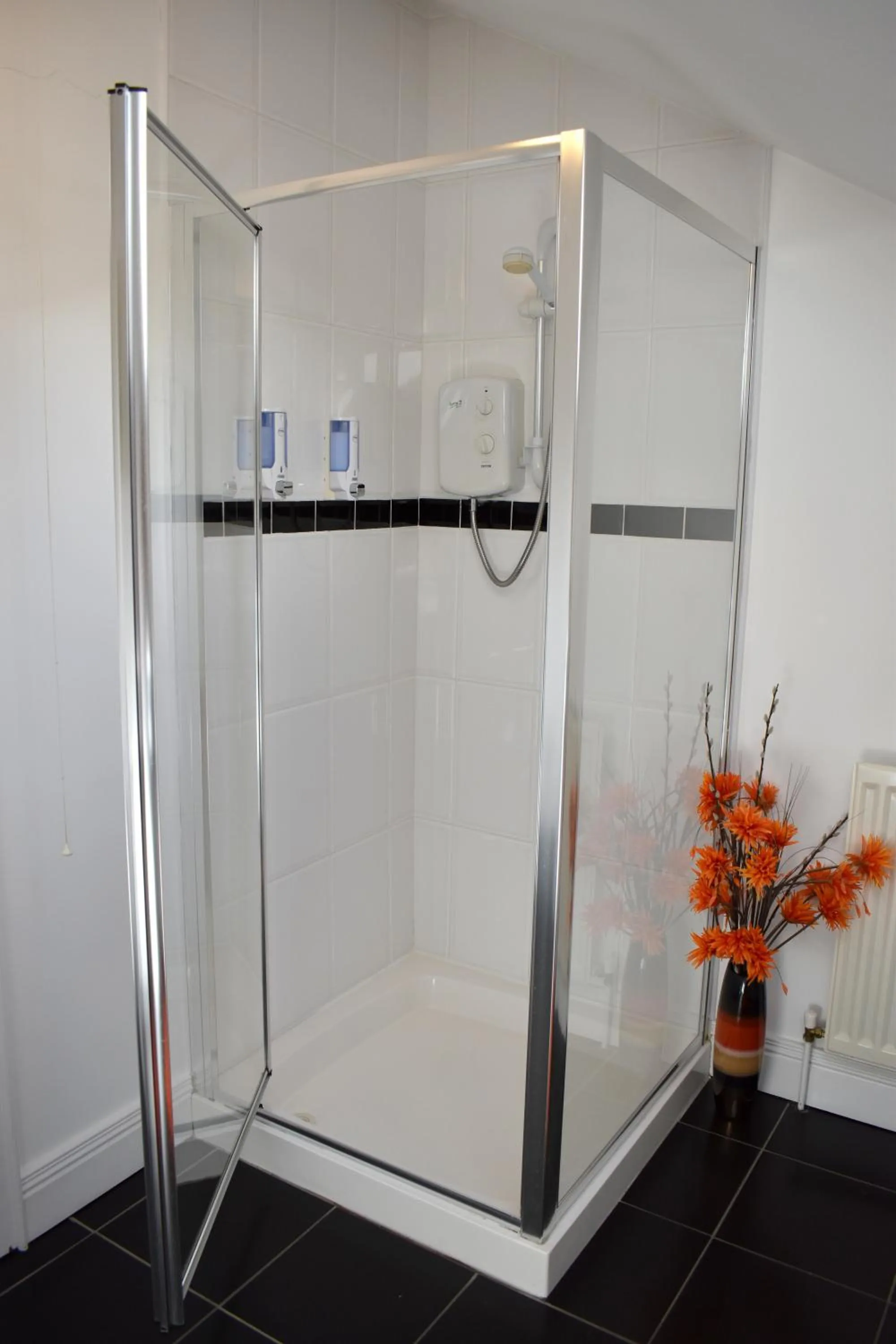 Shower in The Meadows B&B