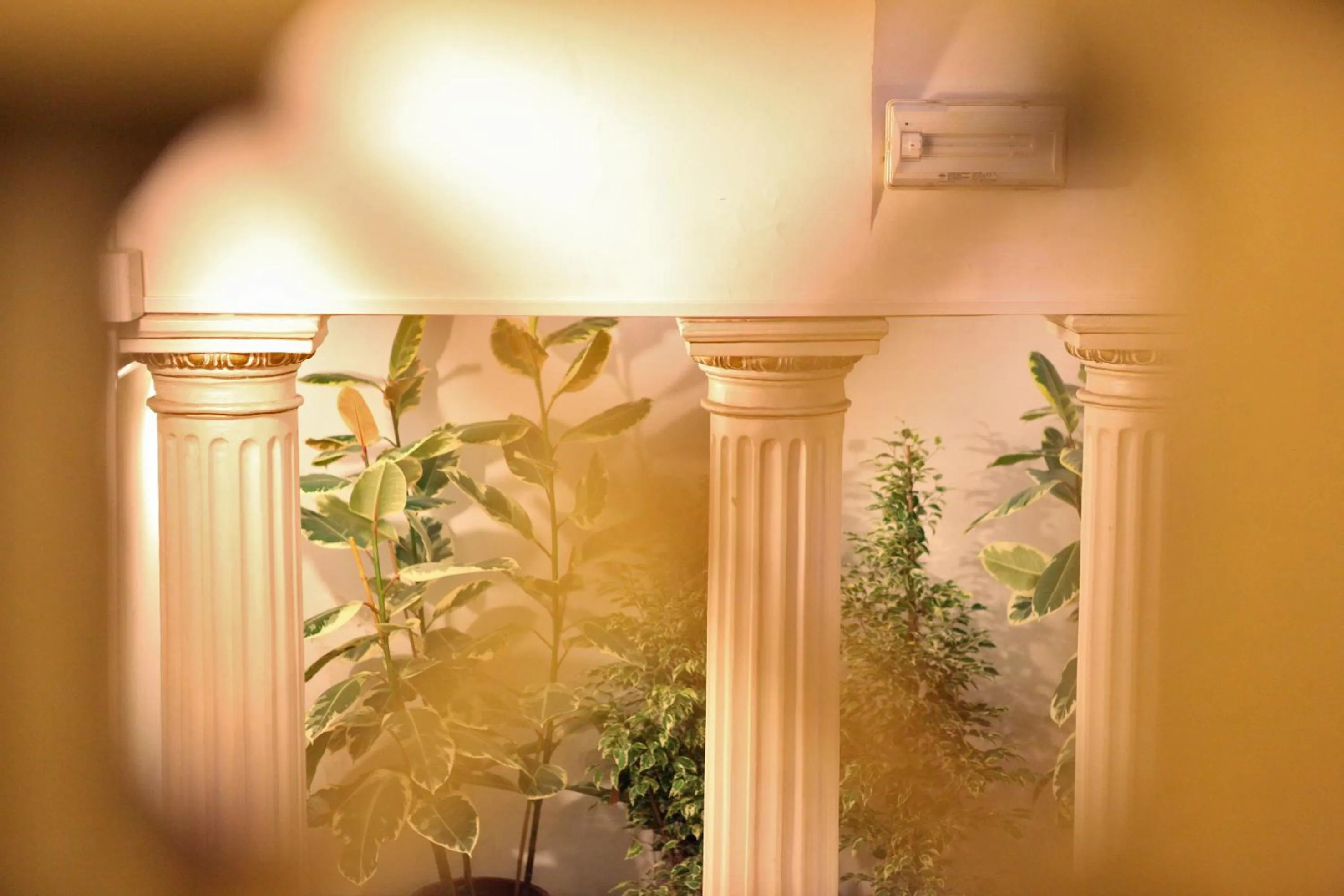 Other in Al Duomo Inn