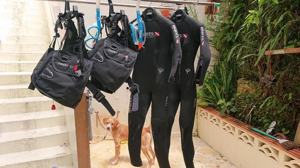 Area and facilities in 民宿さざんか