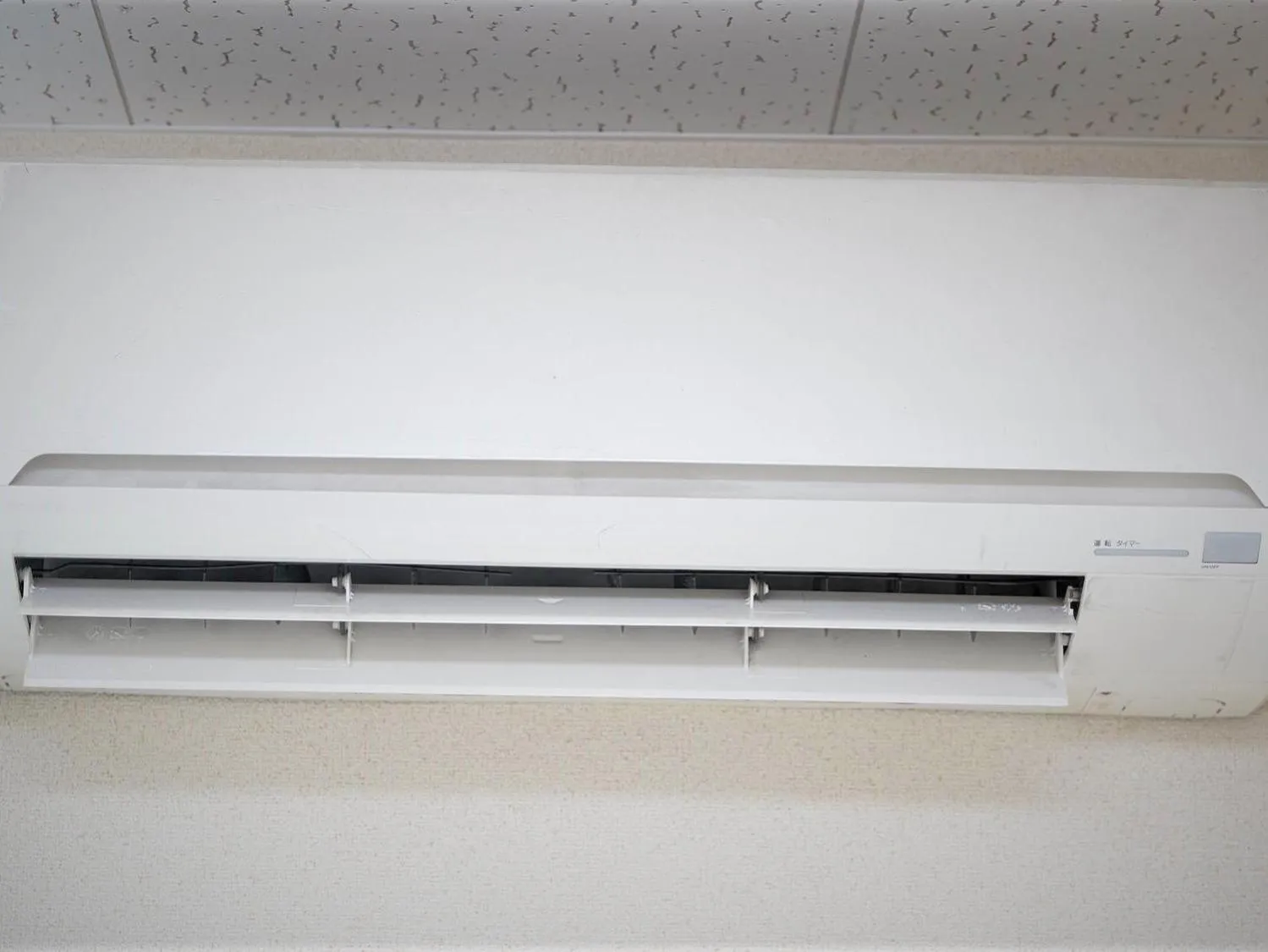 Other in 民宿さざんか