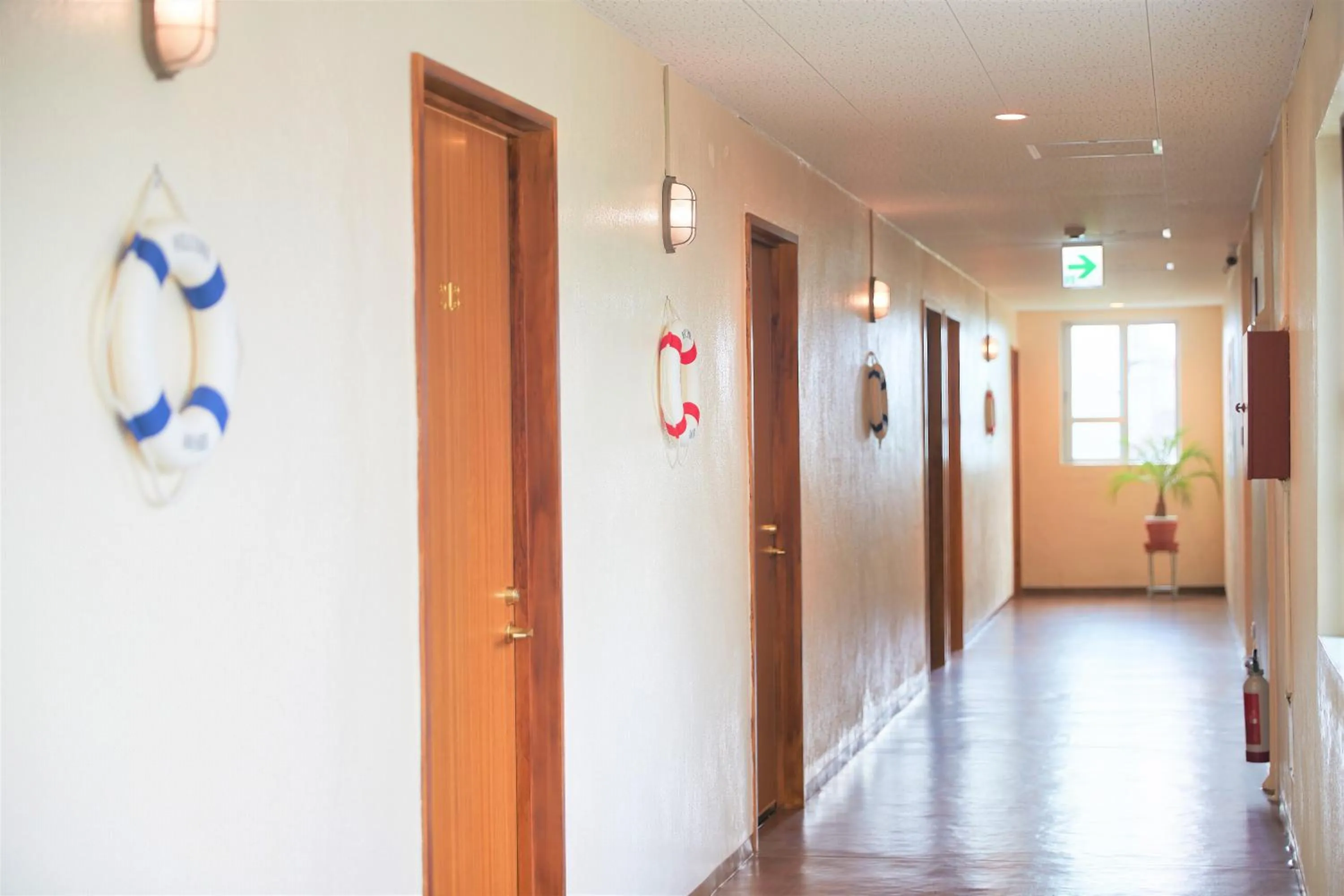 Area and facilities in 民宿さざんか