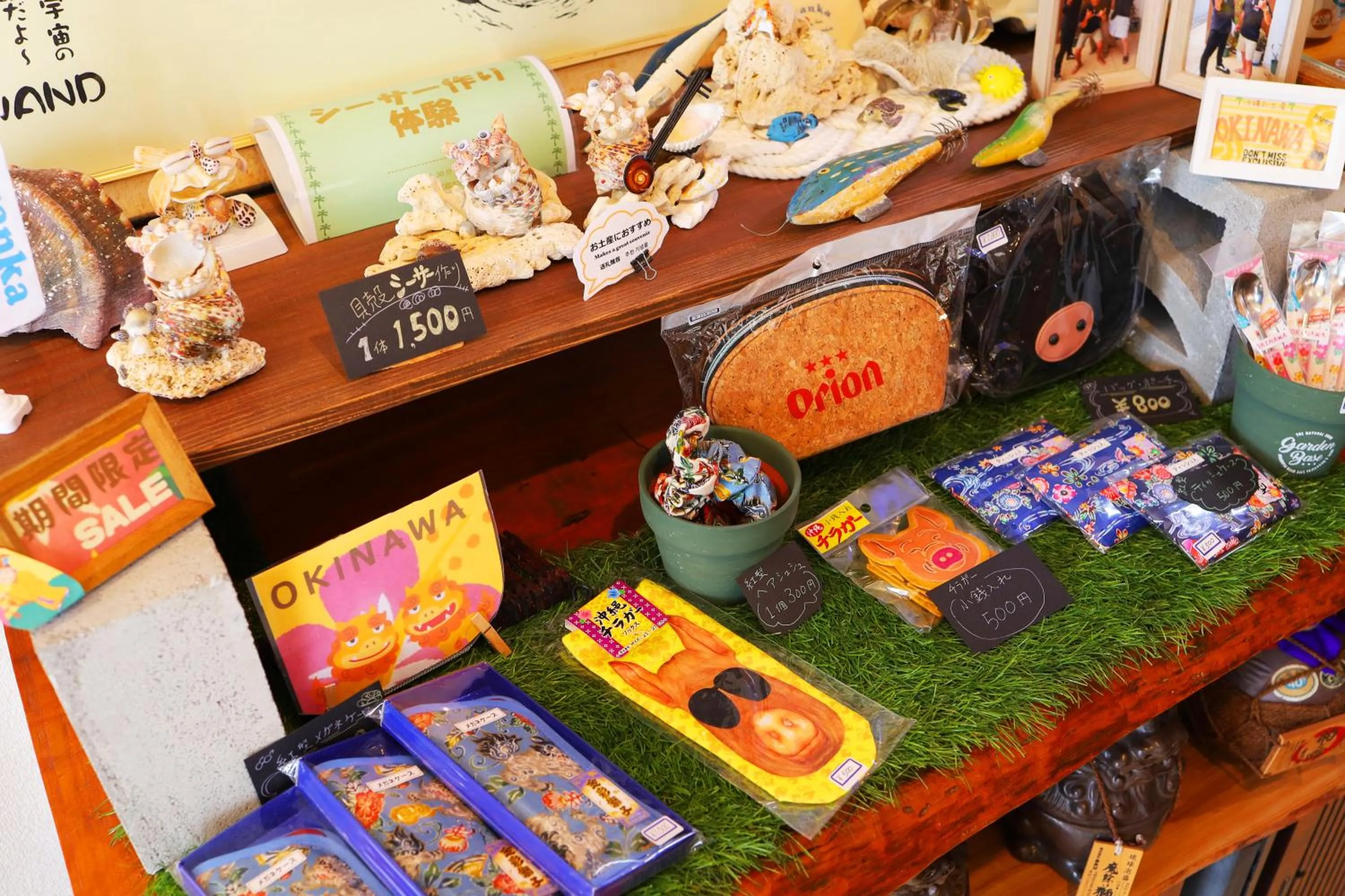 Area and facilities in 民宿さざんか