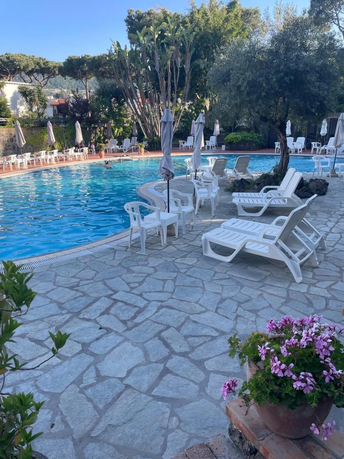 Swimming pool in Hotel Pineta