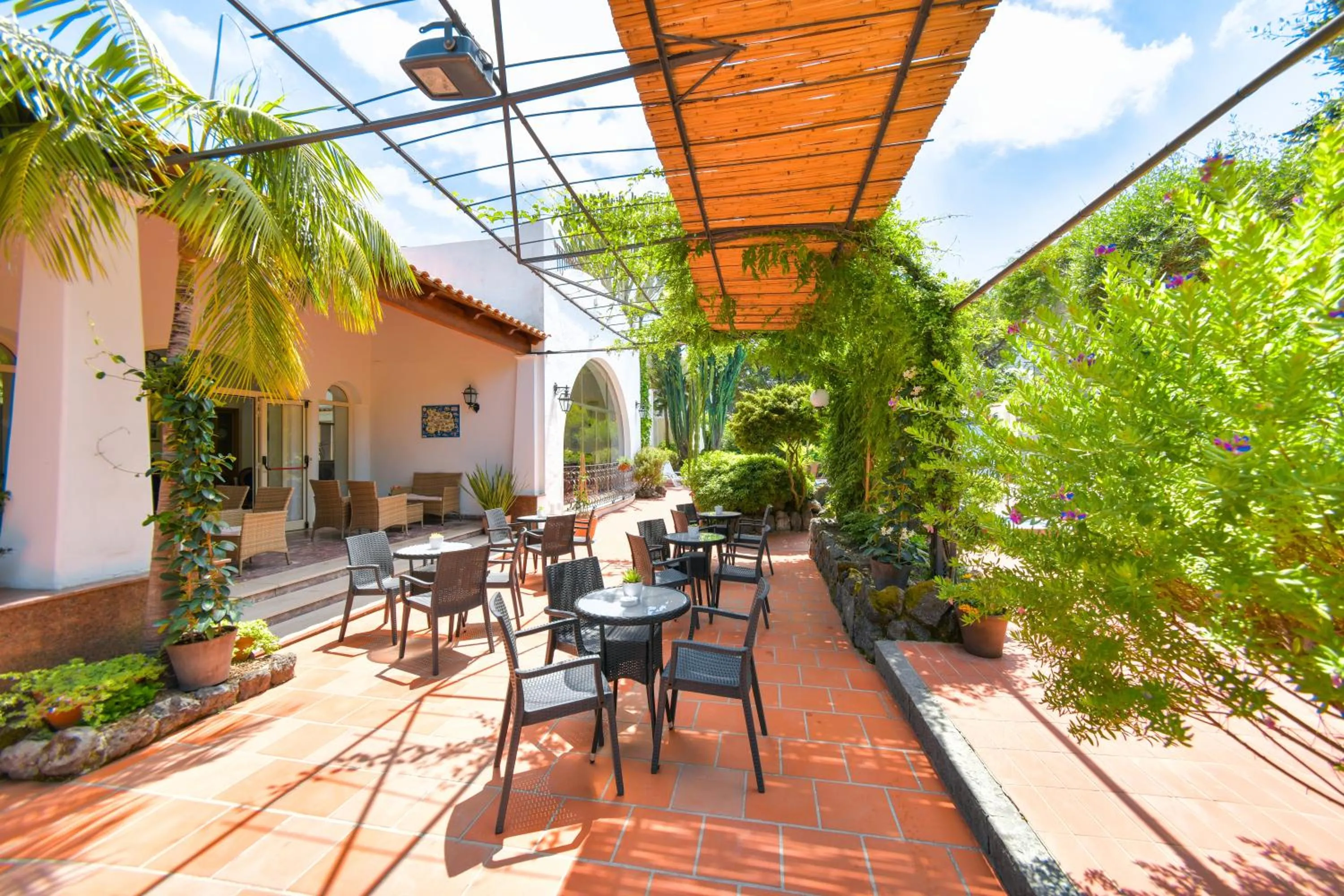 Garden in Hotel Pineta