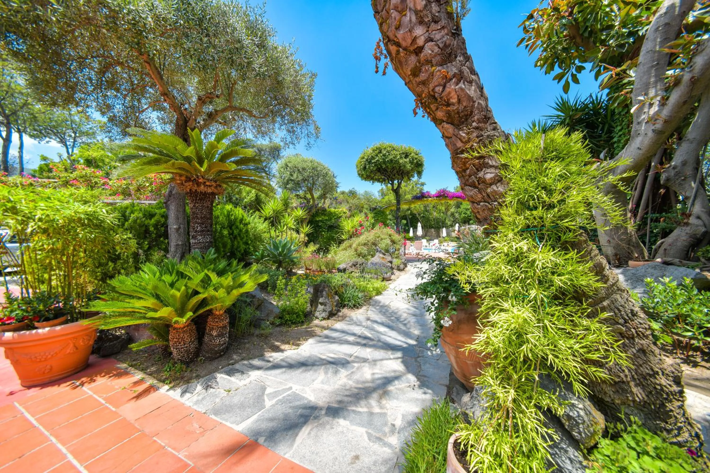 Garden in Hotel Pineta