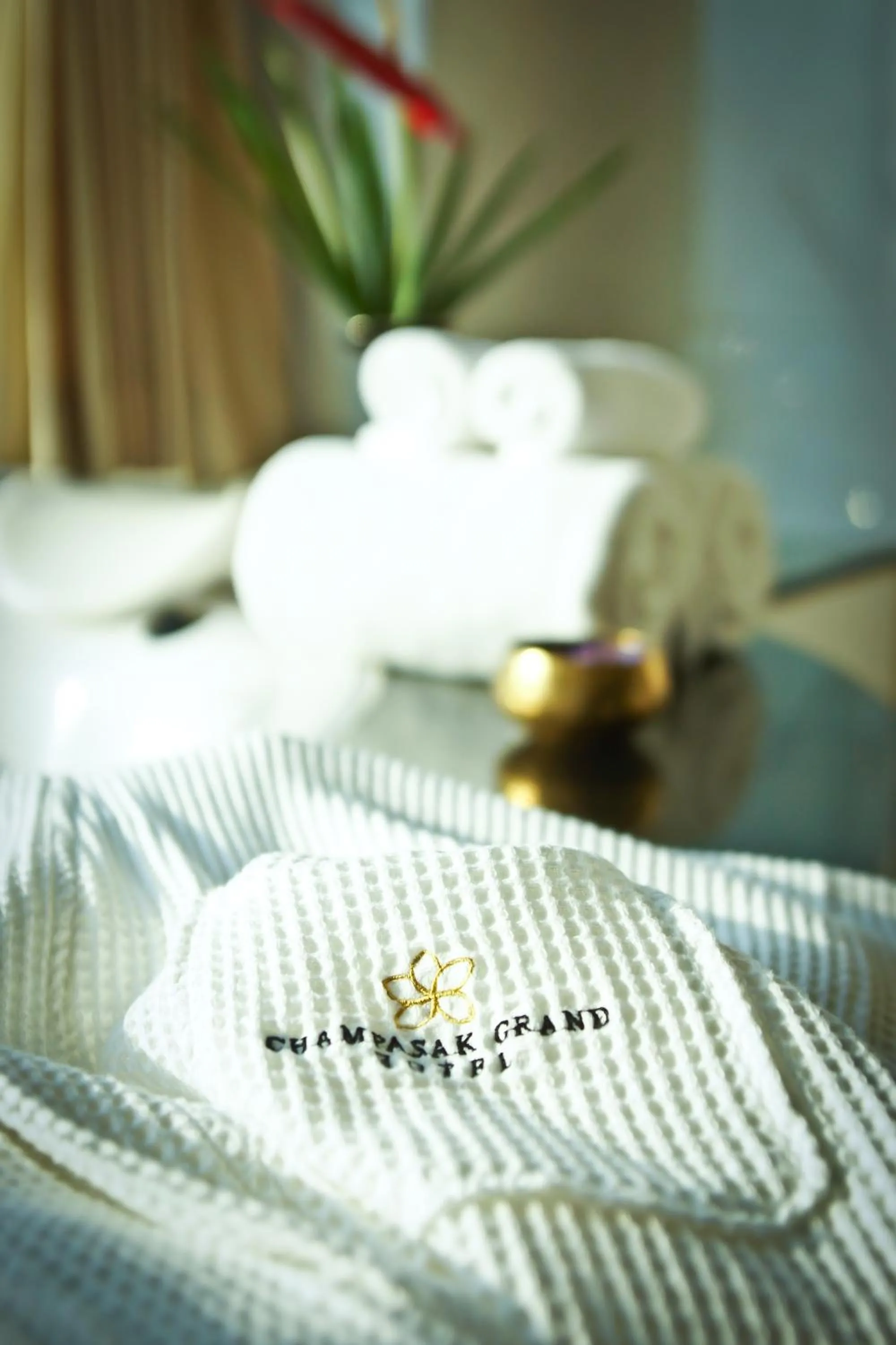 Other in Champasak Grand Hotel