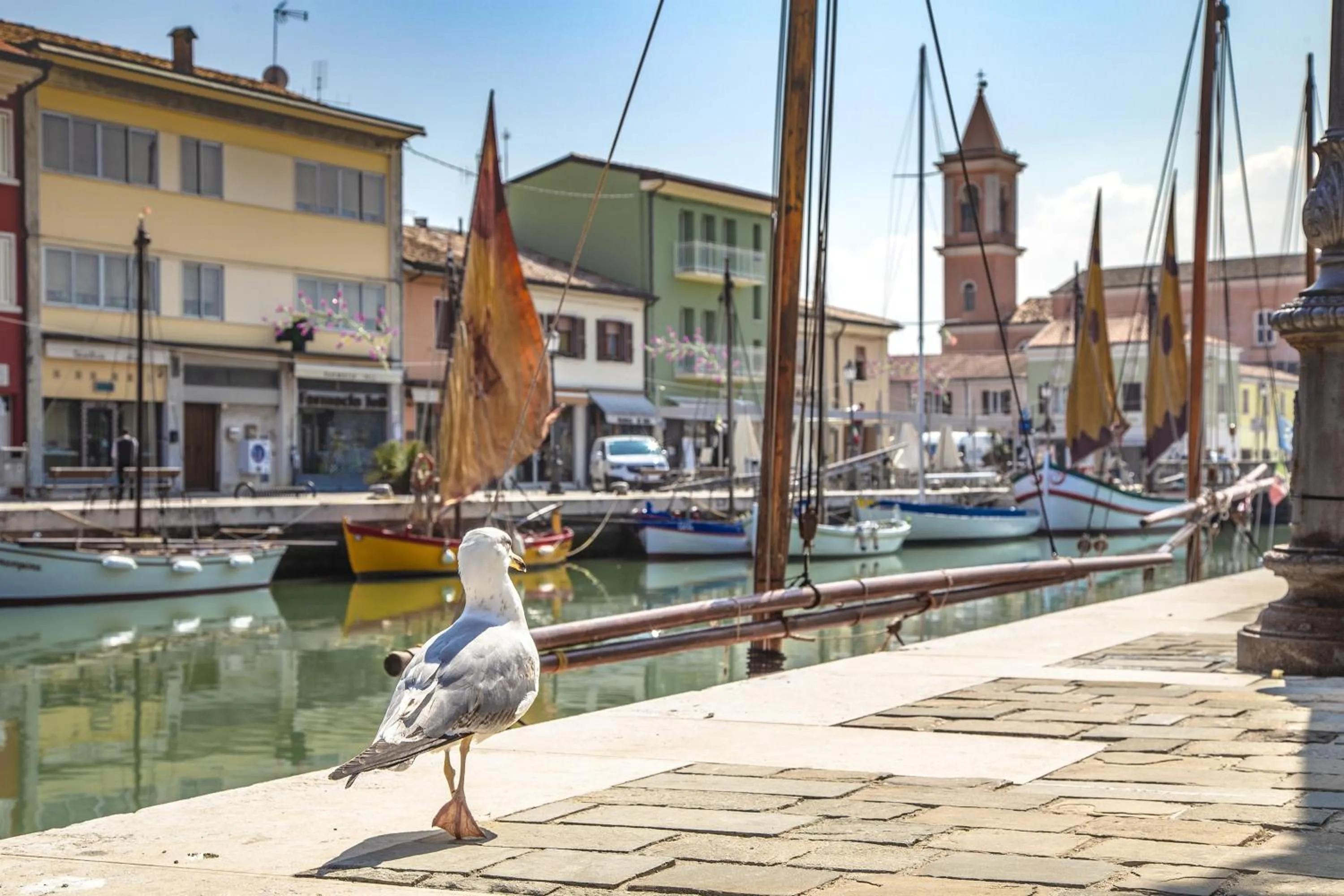 Natural landscape in Hotel Wega