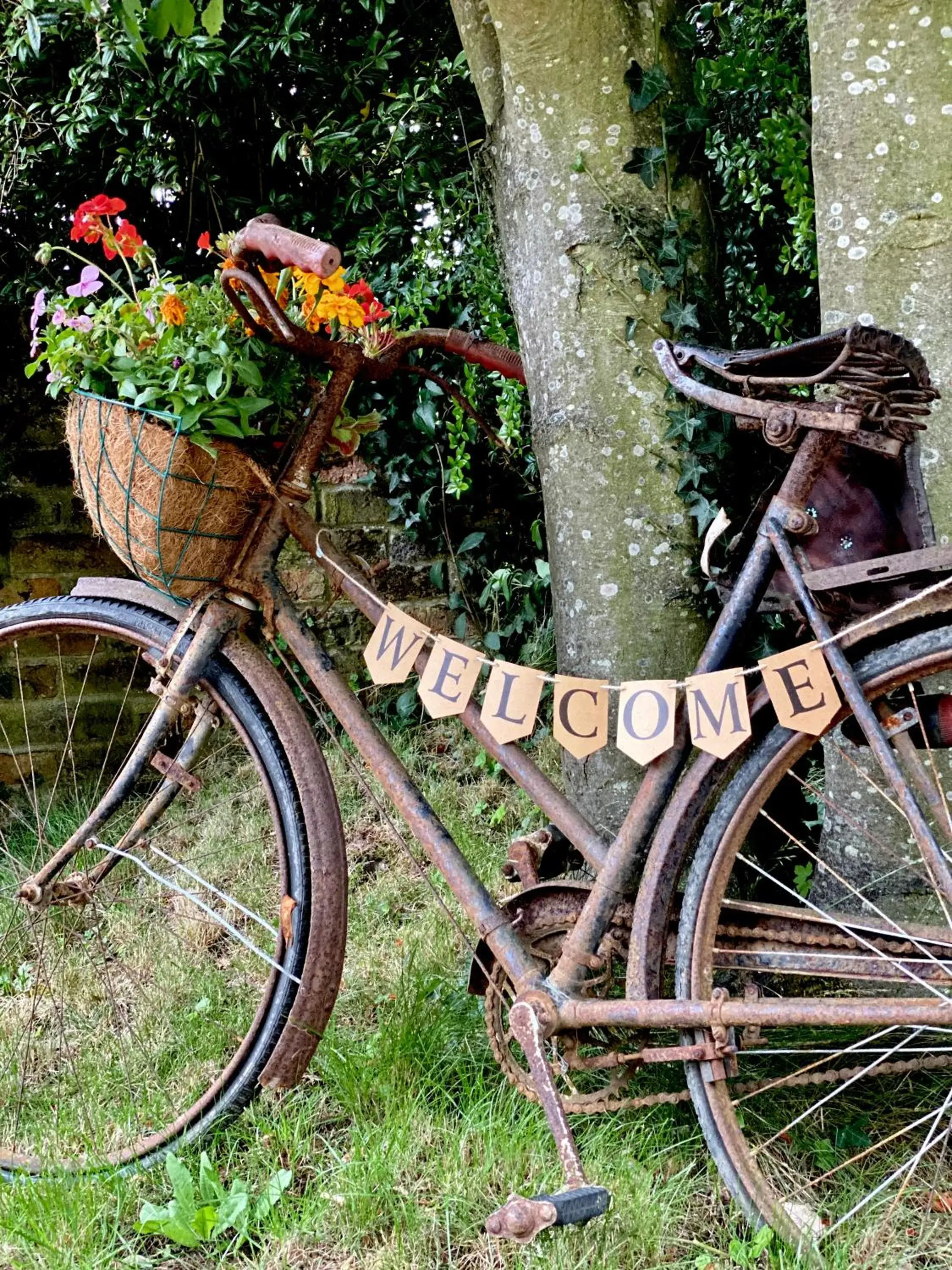 Cottage with Garden View in Old Hall Country Breaks Cottage with Garden View in Old Hall Country Breaks