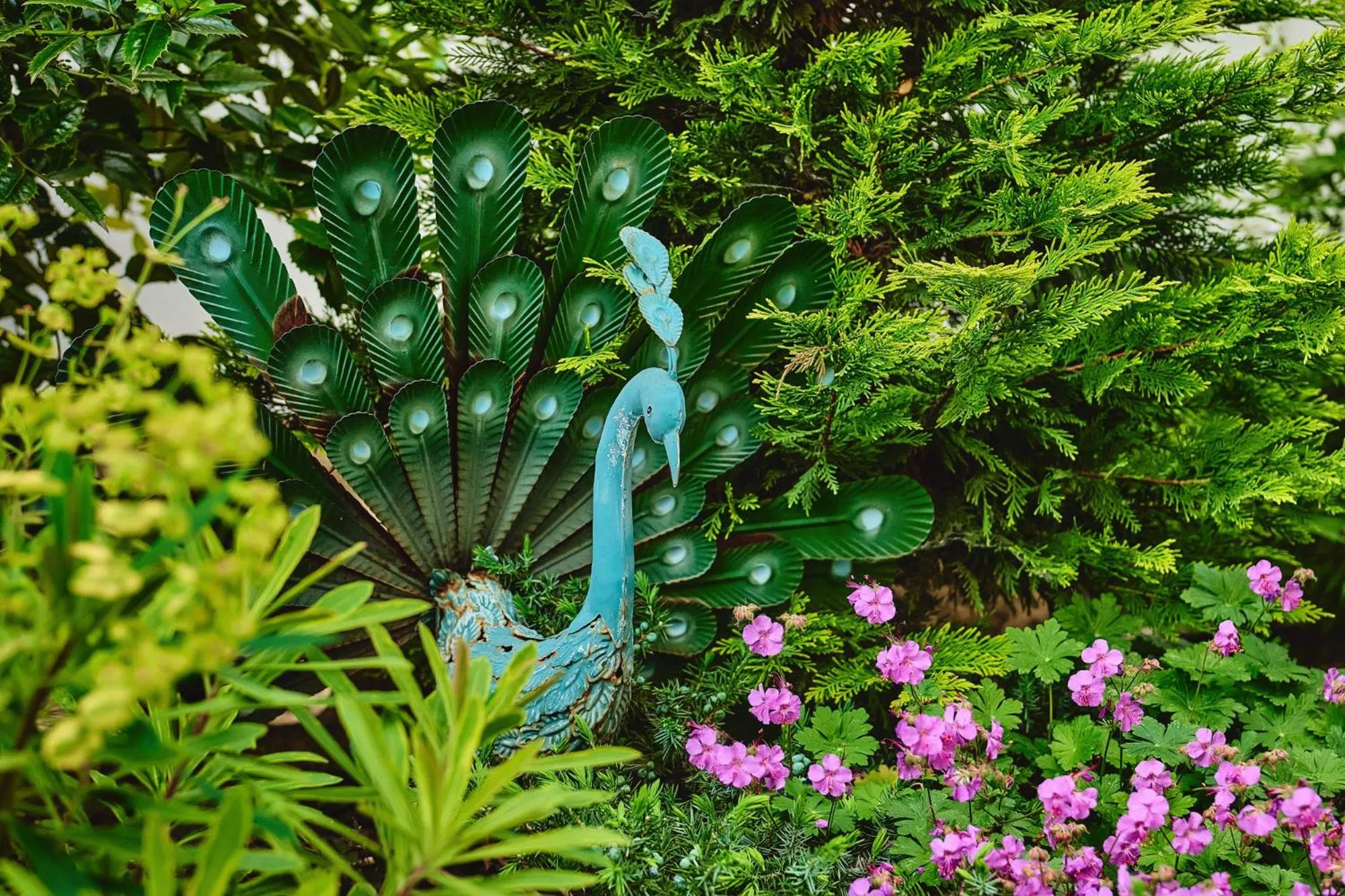 Garden in Tokajer Wellness Panzió
