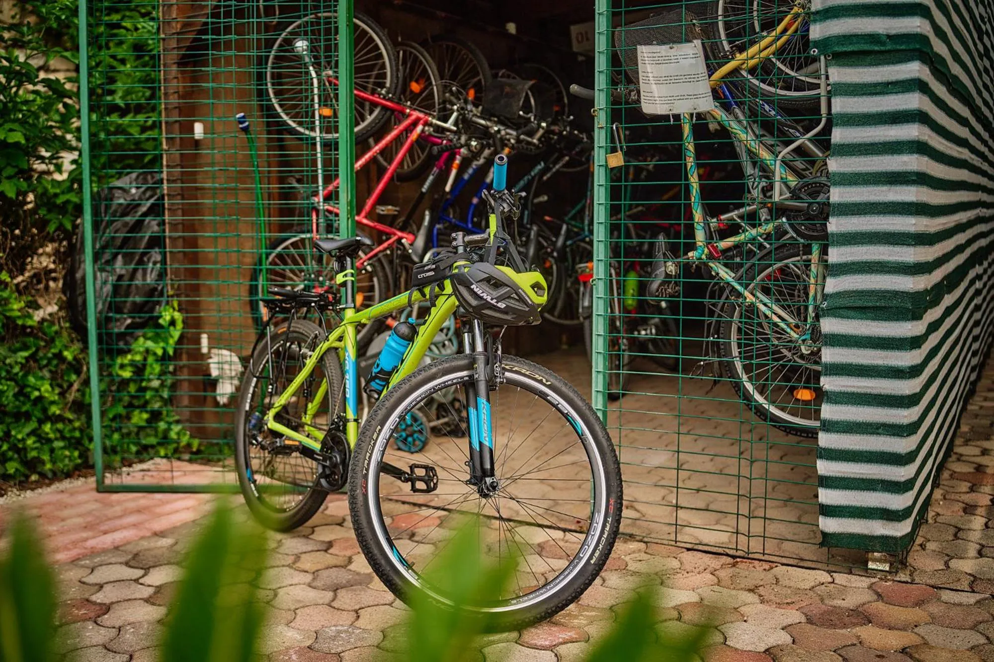 Cycling in Tokajer Wellness Panzió