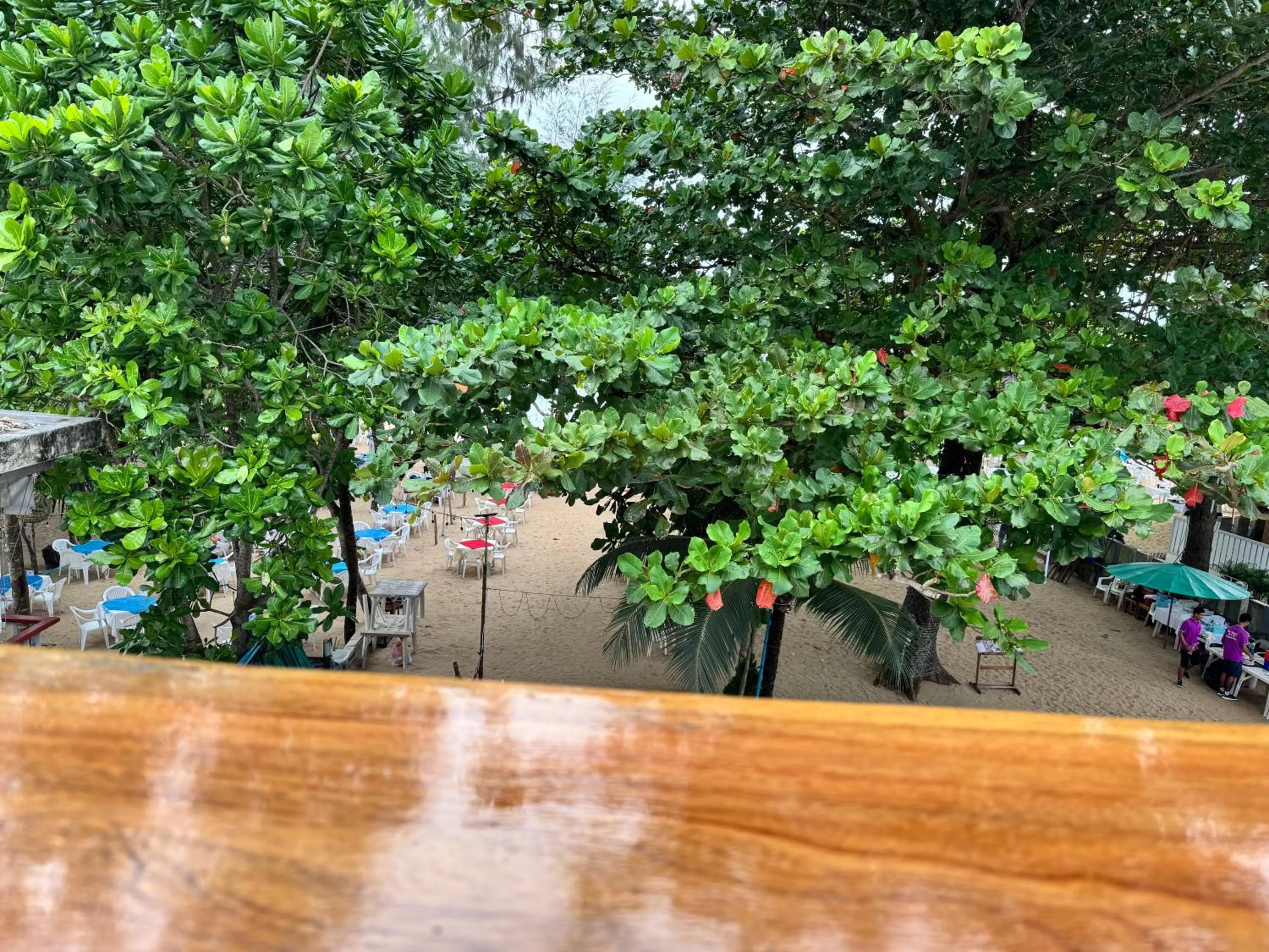 Natural landscape in Naiyang Discovery Beach Resort SHA