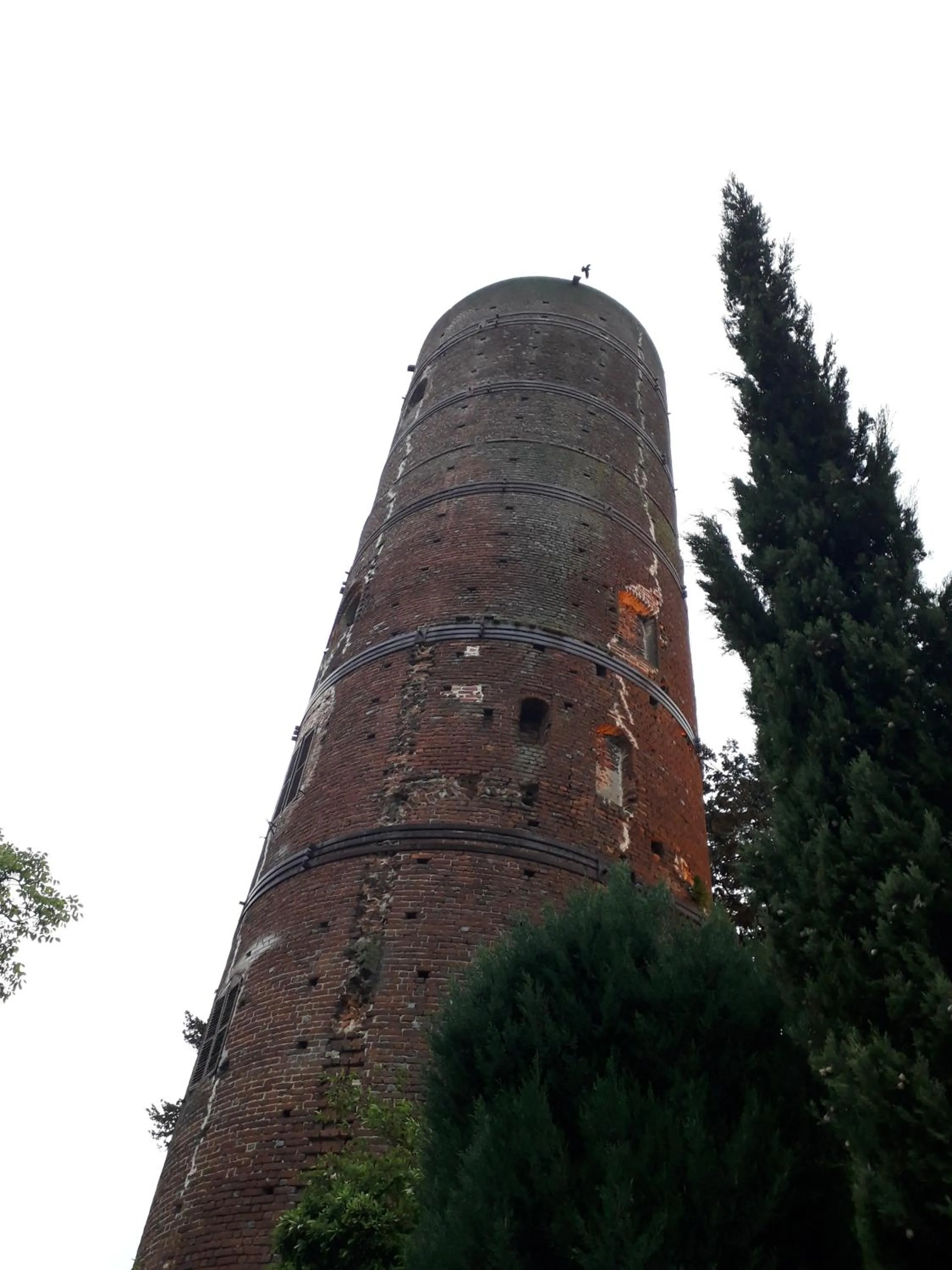 Nearby landmark in PocoBurro Ca' d'arte