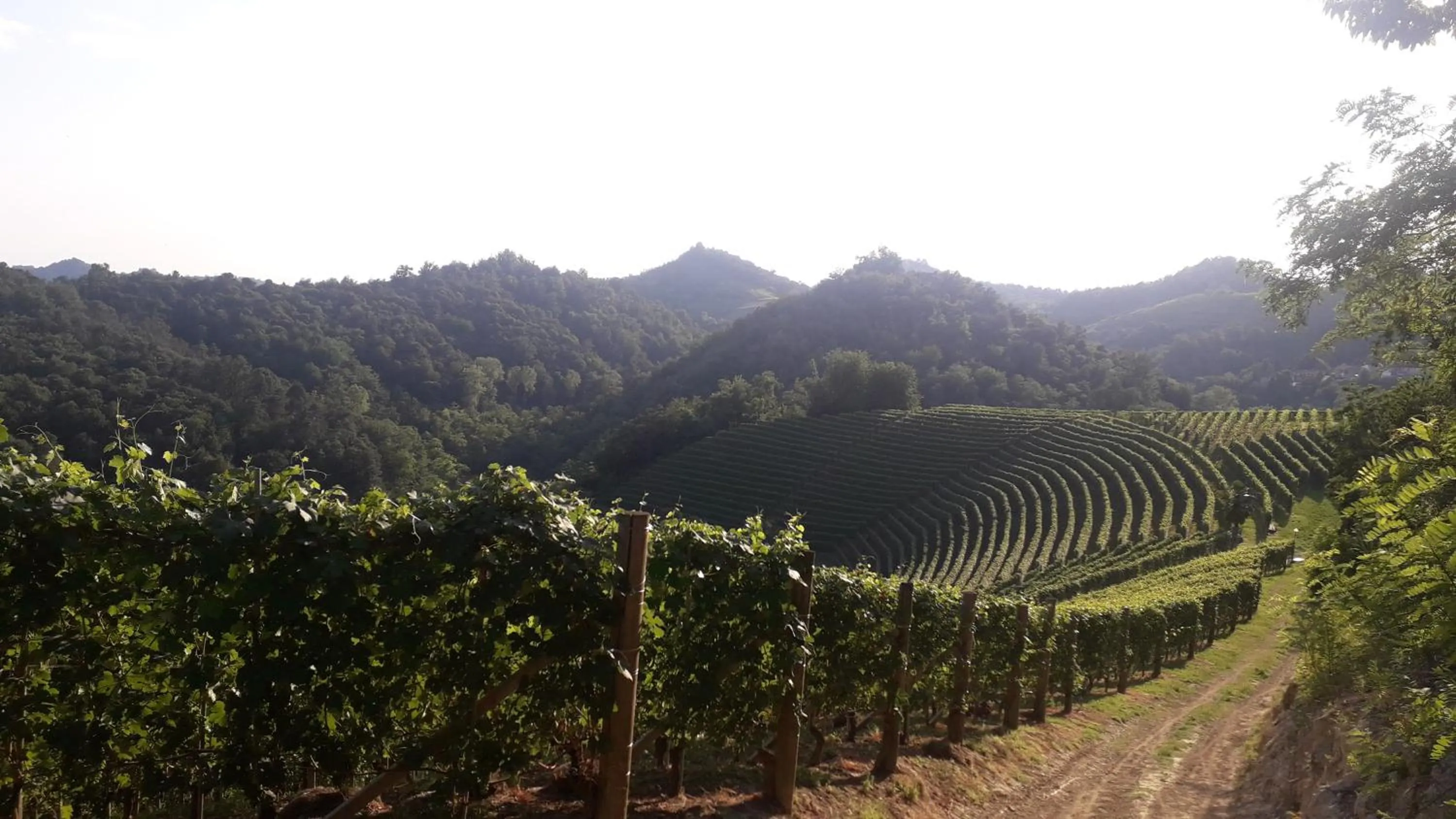 Cycling in PocoBurro Ca' d'arte