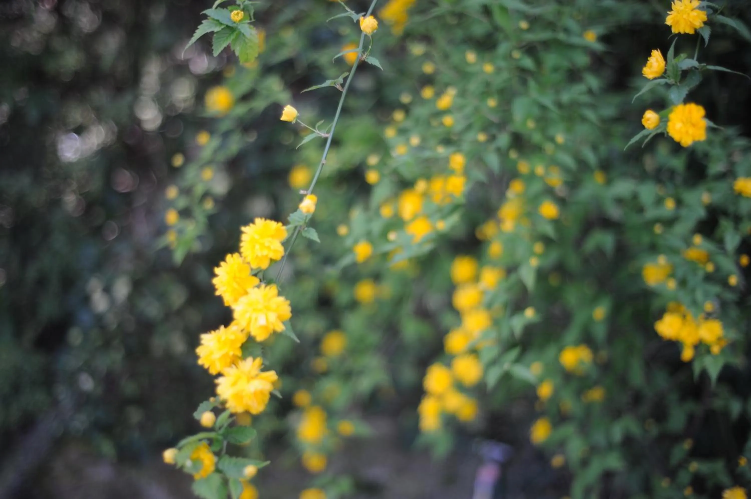 Other in Maison Le Retour