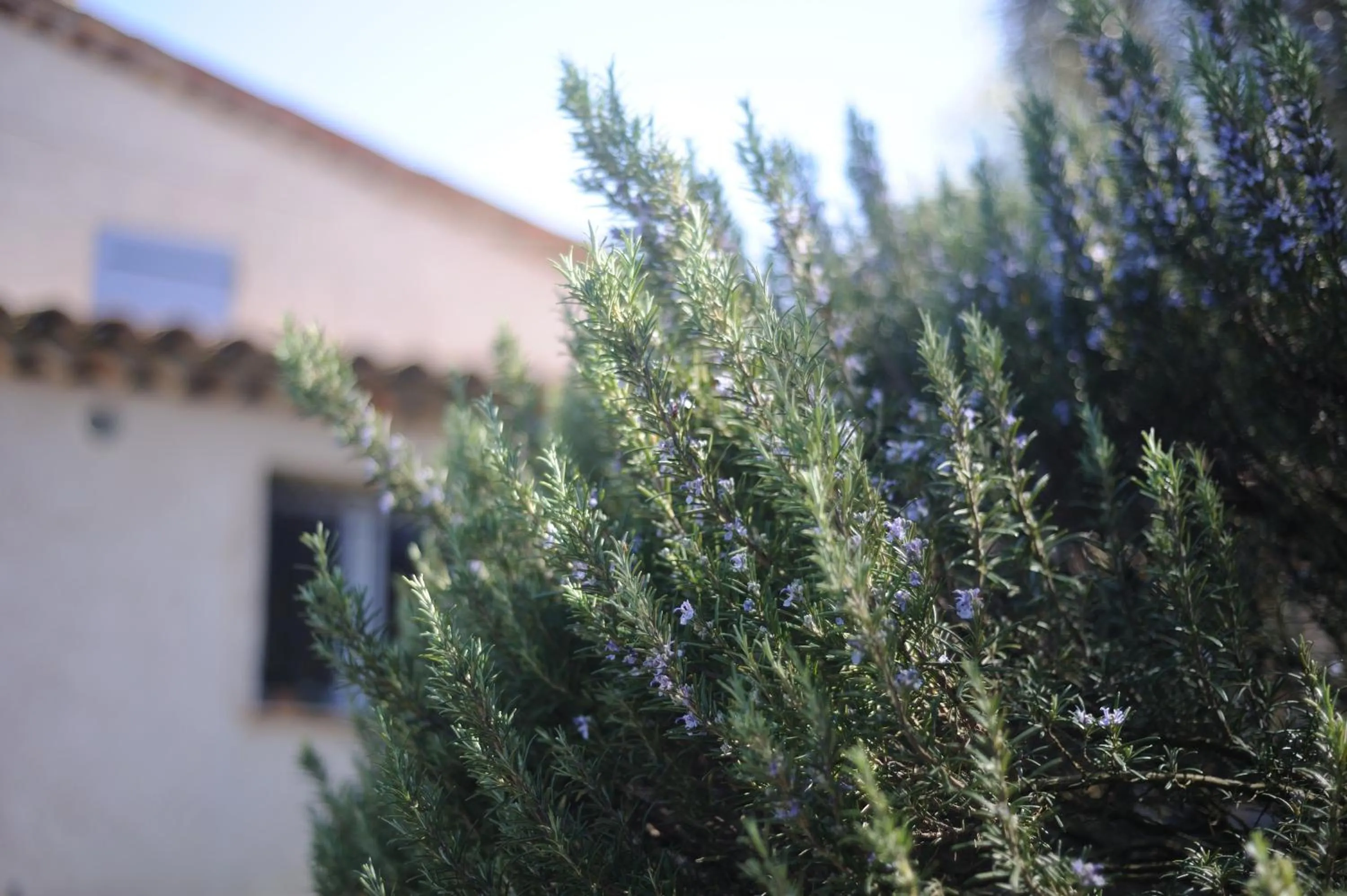 Other in Maison Le Retour