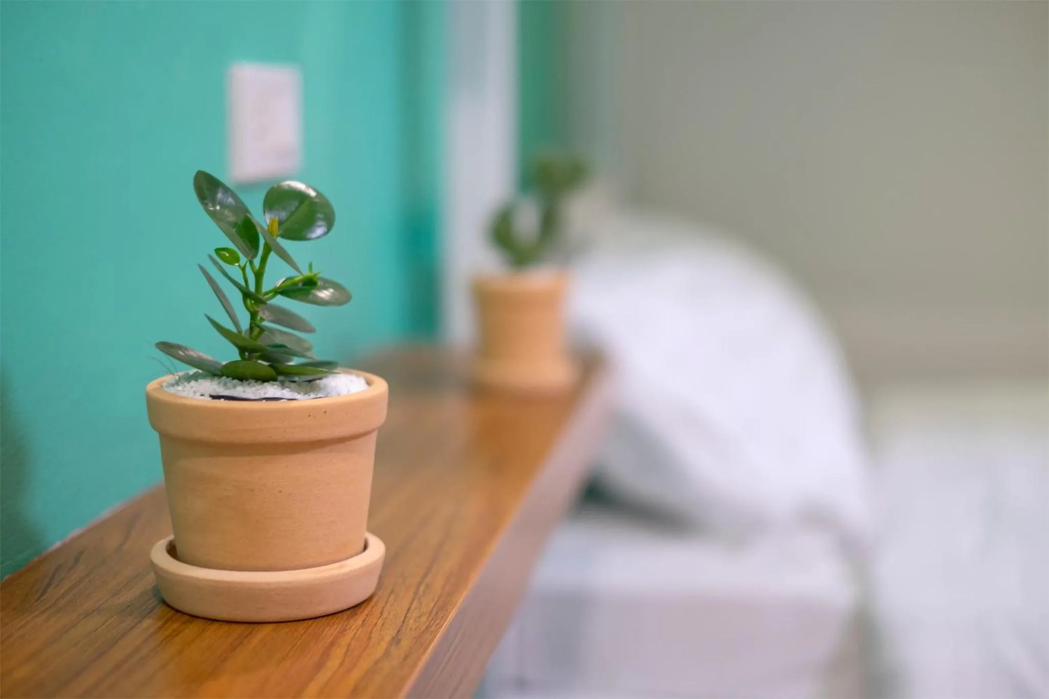 Decorative detail, Bed in BED Friends Poshtel