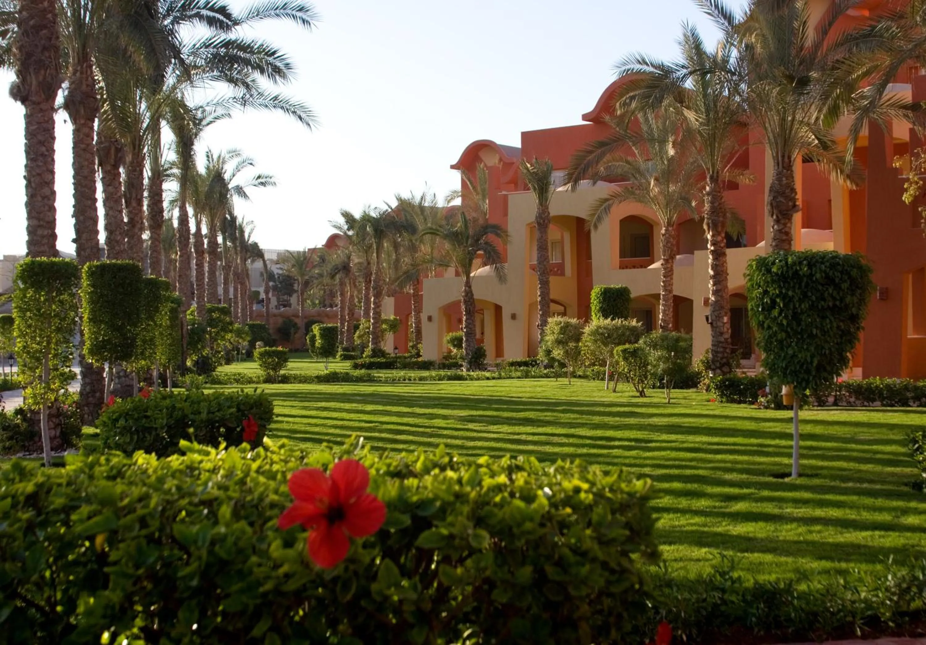 Garden in Sharm Grand Plaza Resort - Families and Couples Only