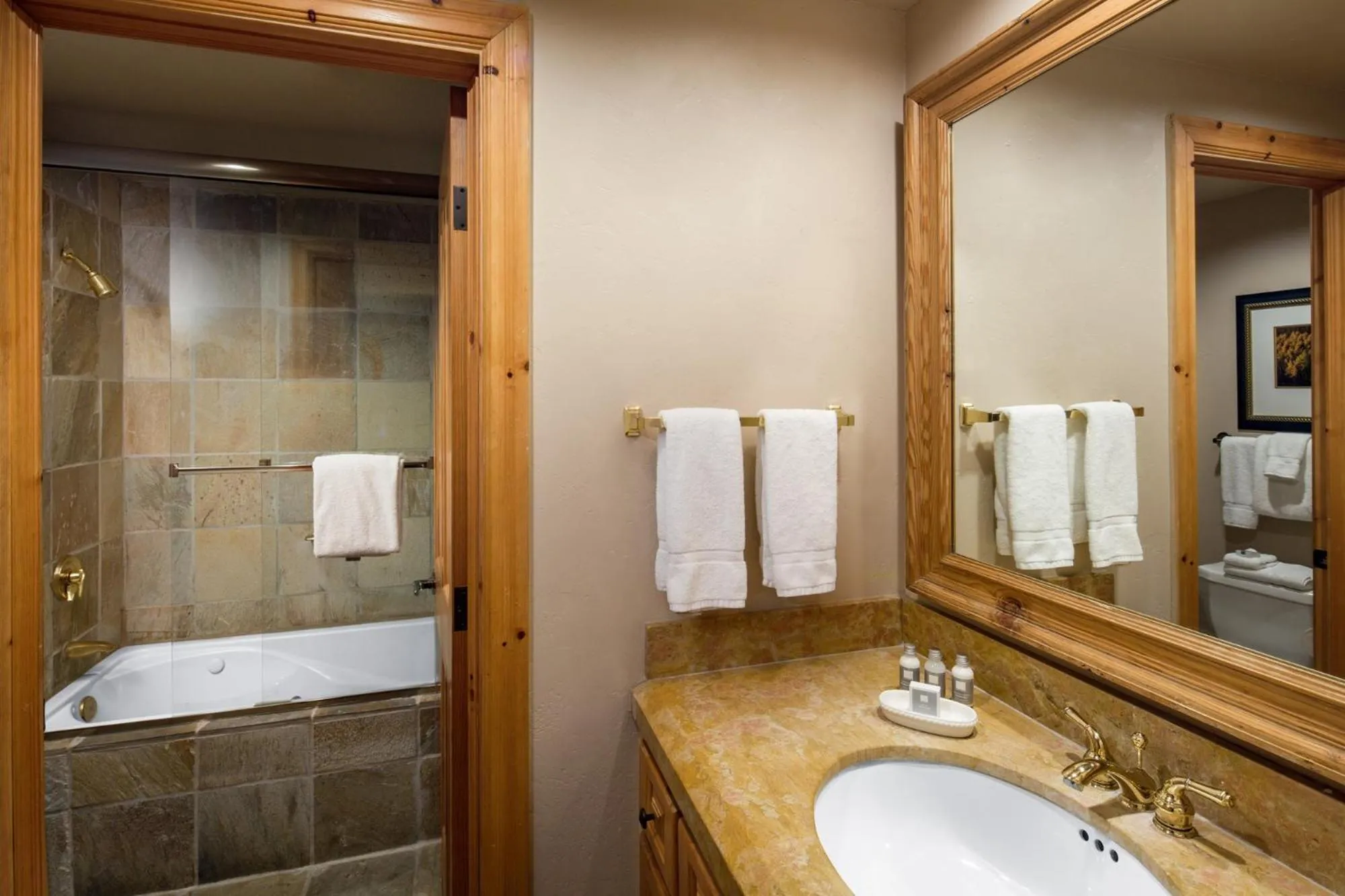 Bathroom in Mountain Lodge Telluride