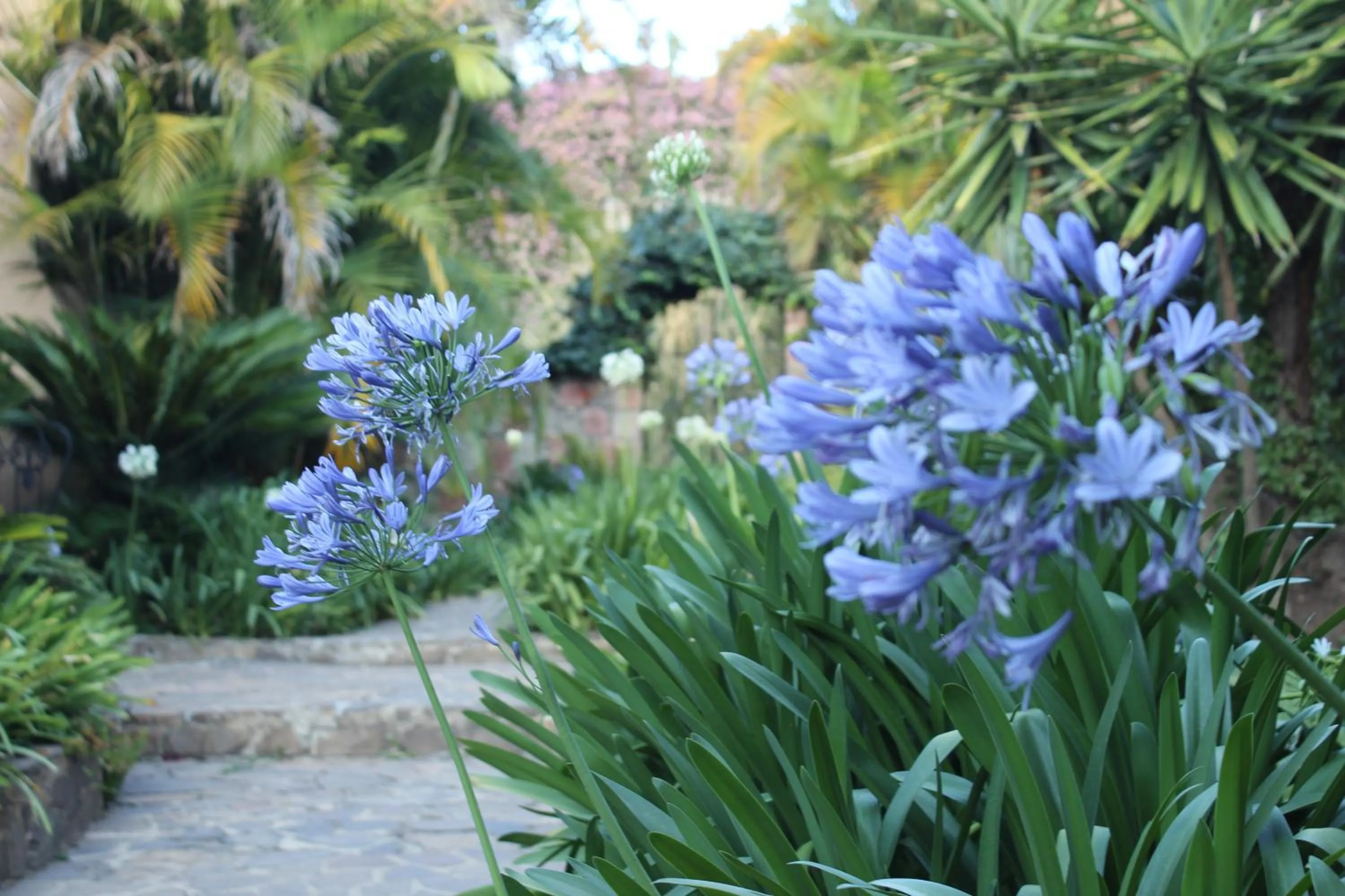 Casa Magdalena Hotel Boutique