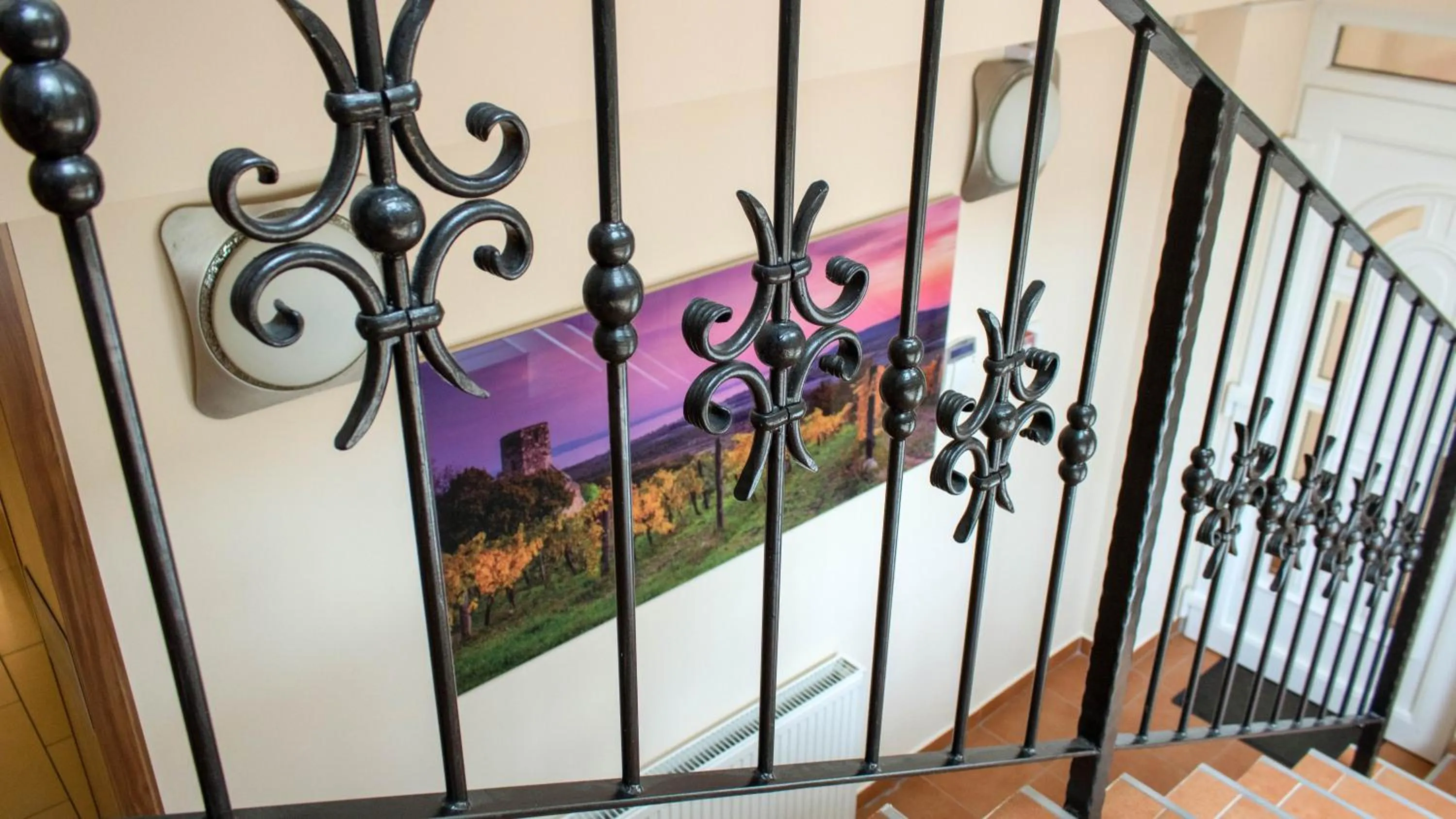 Area and facilities in Balaton Colors Beach Hotel