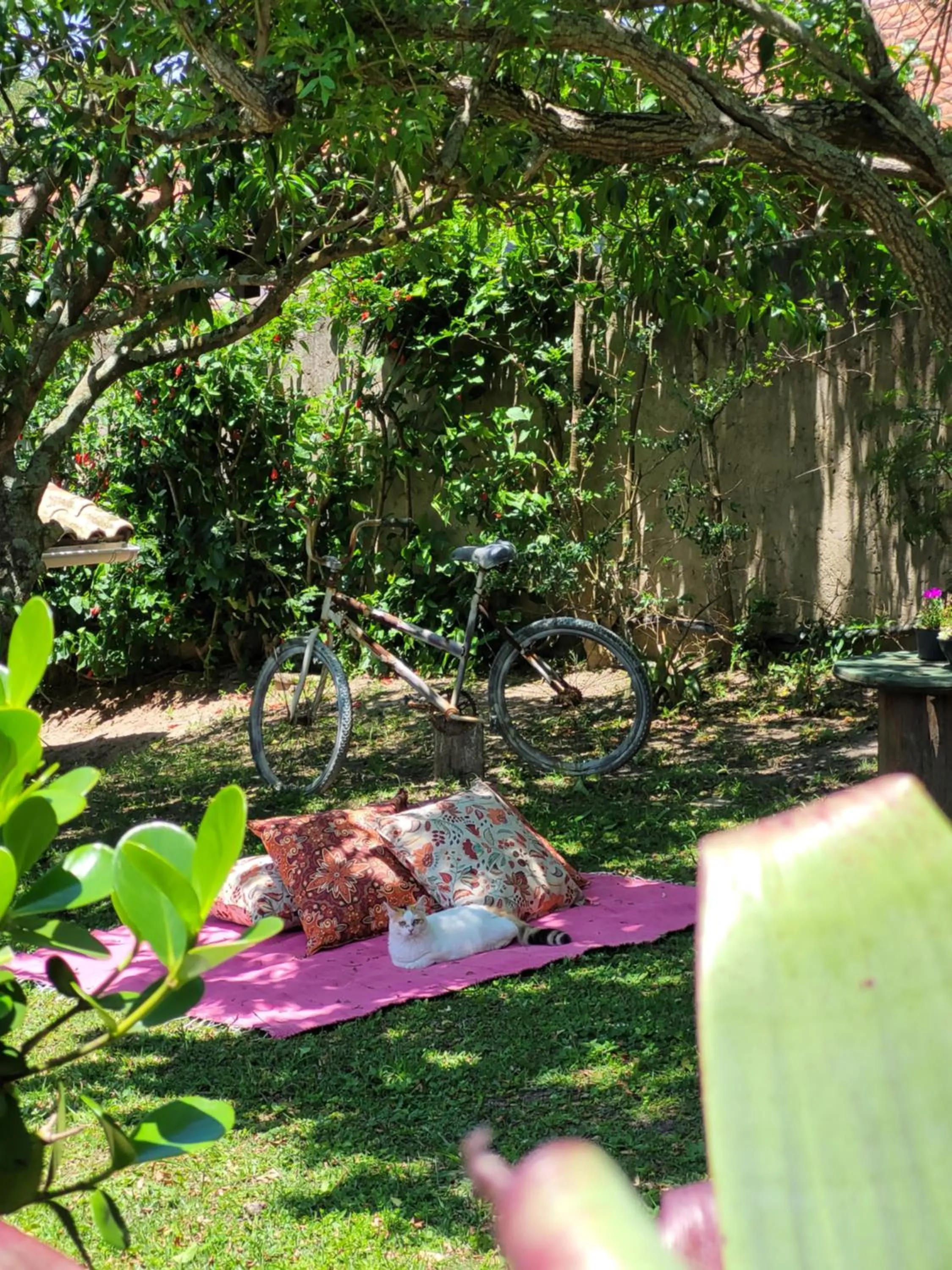 Garden in Pousada Gopak