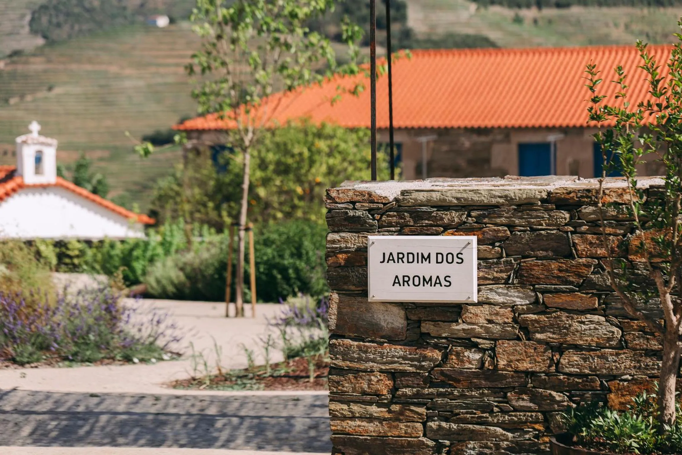 Garden in Ventozelo Hotel & Quinta
