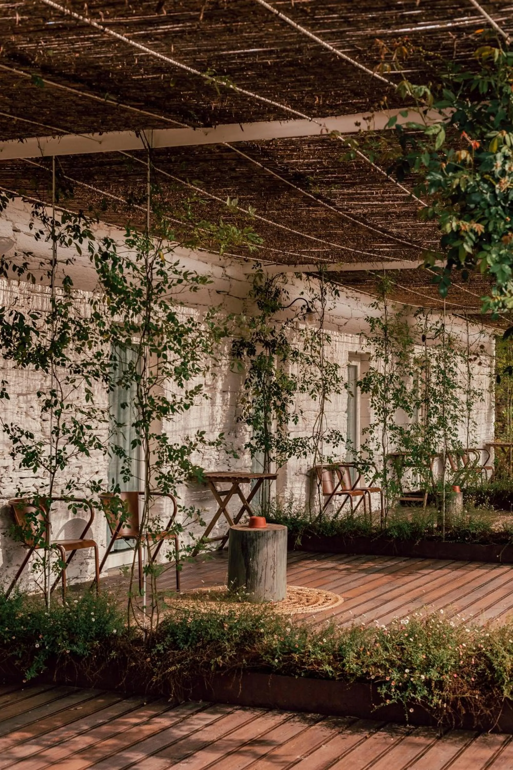 Balcony/Terrace in Ventozelo Hotel & Quinta