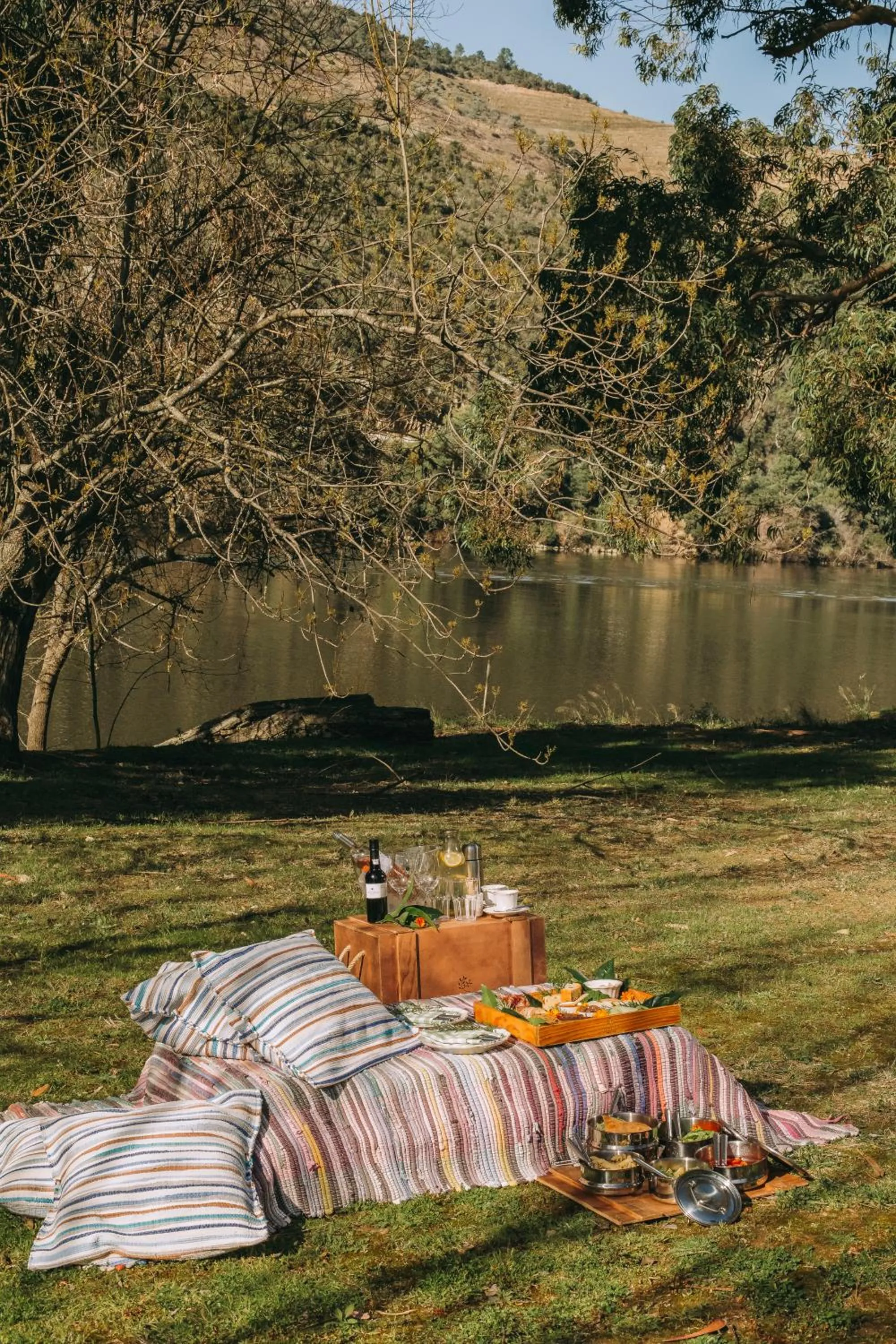 Activities in Ventozelo Hotel & Quinta