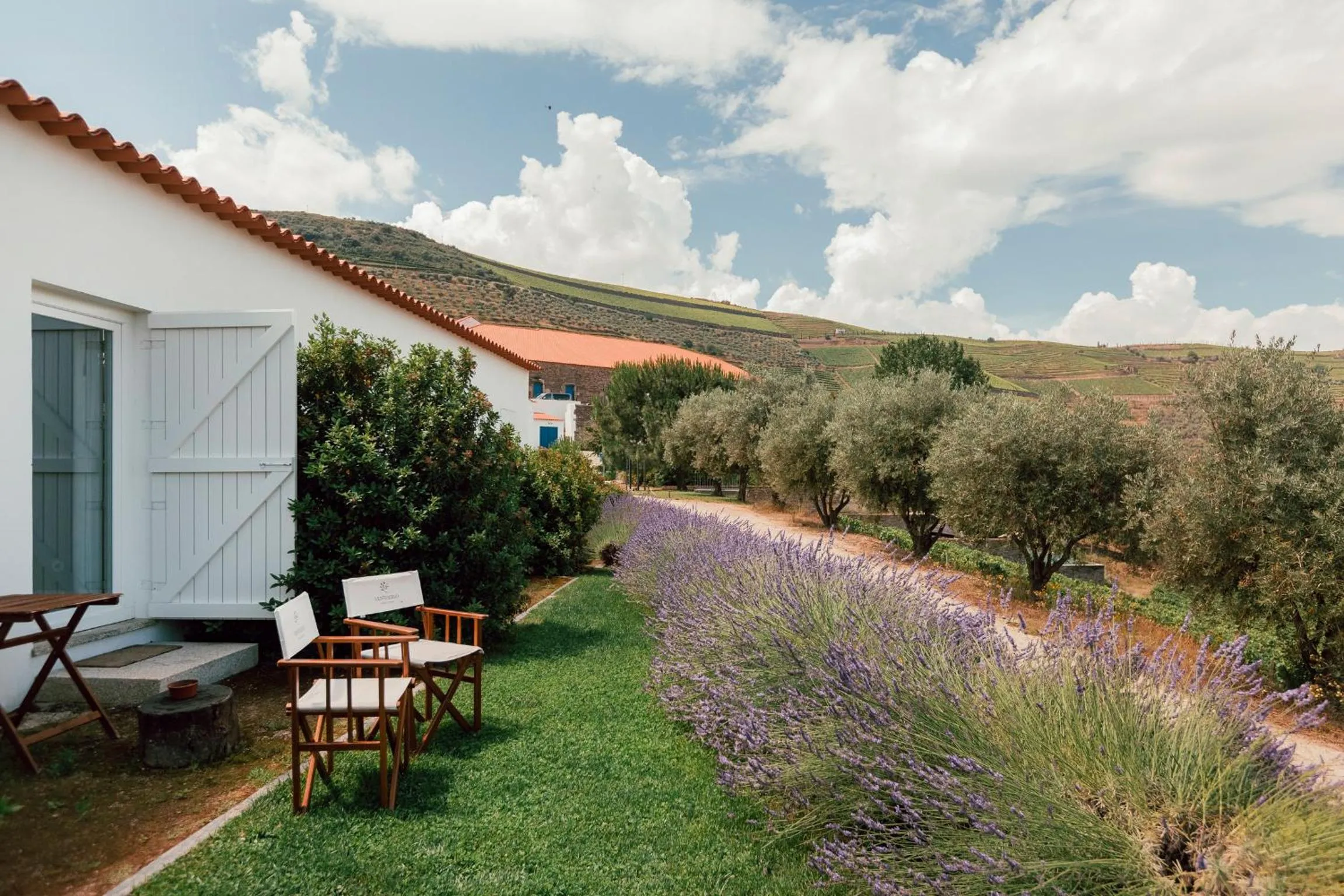 Garden view in Ventozelo Hotel & Quinta