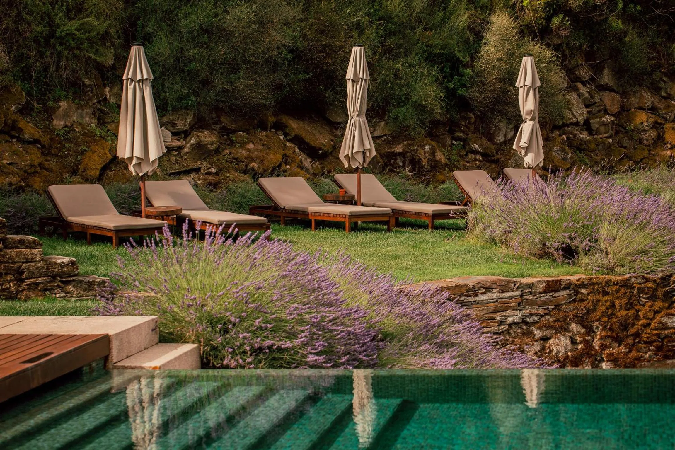Balcony/Terrace in Ventozelo Hotel & Quinta