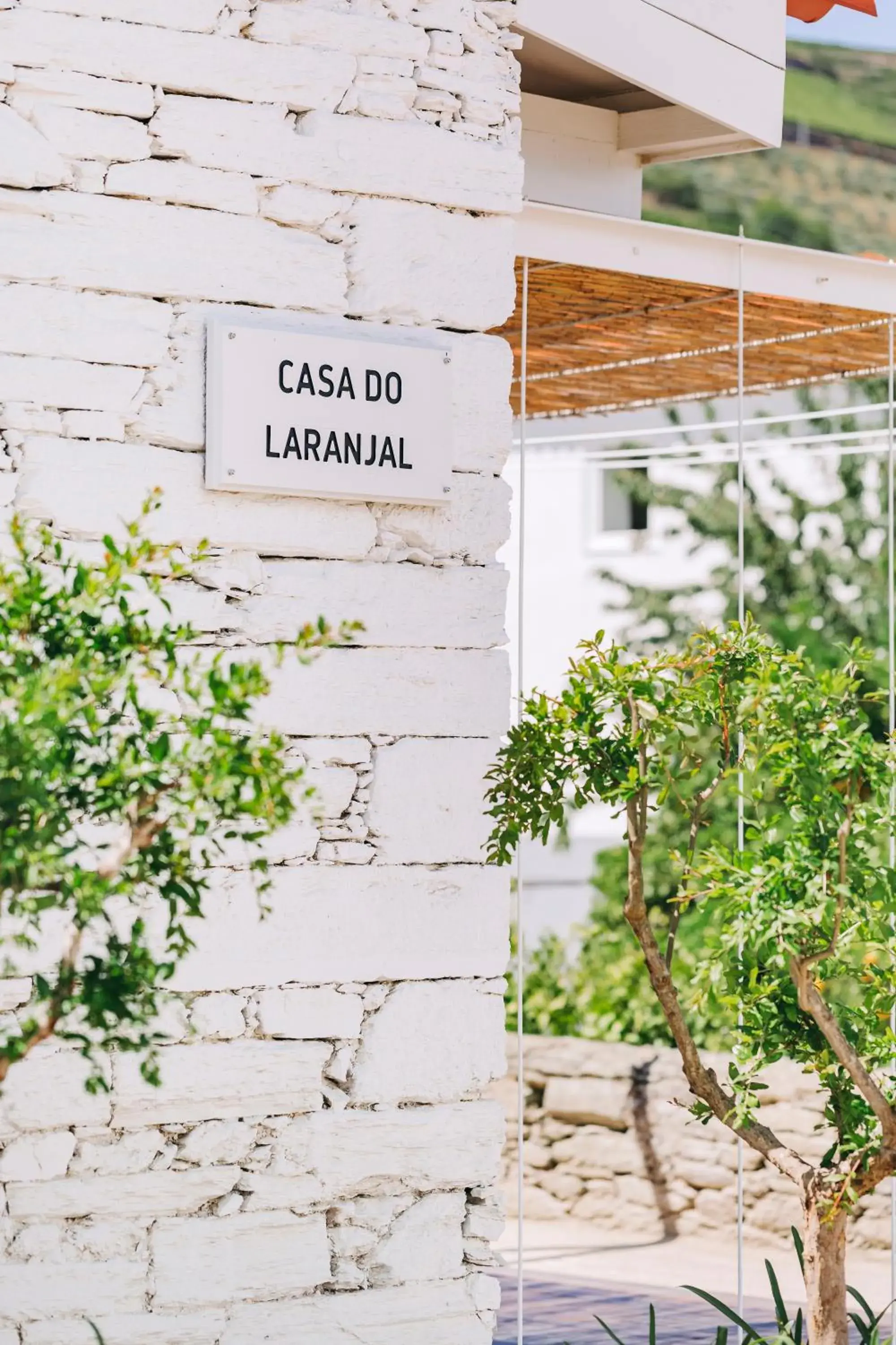 Double Room in Ventozelo Hotel & Quinta Double Room in Ventozelo Hotel & Quinta