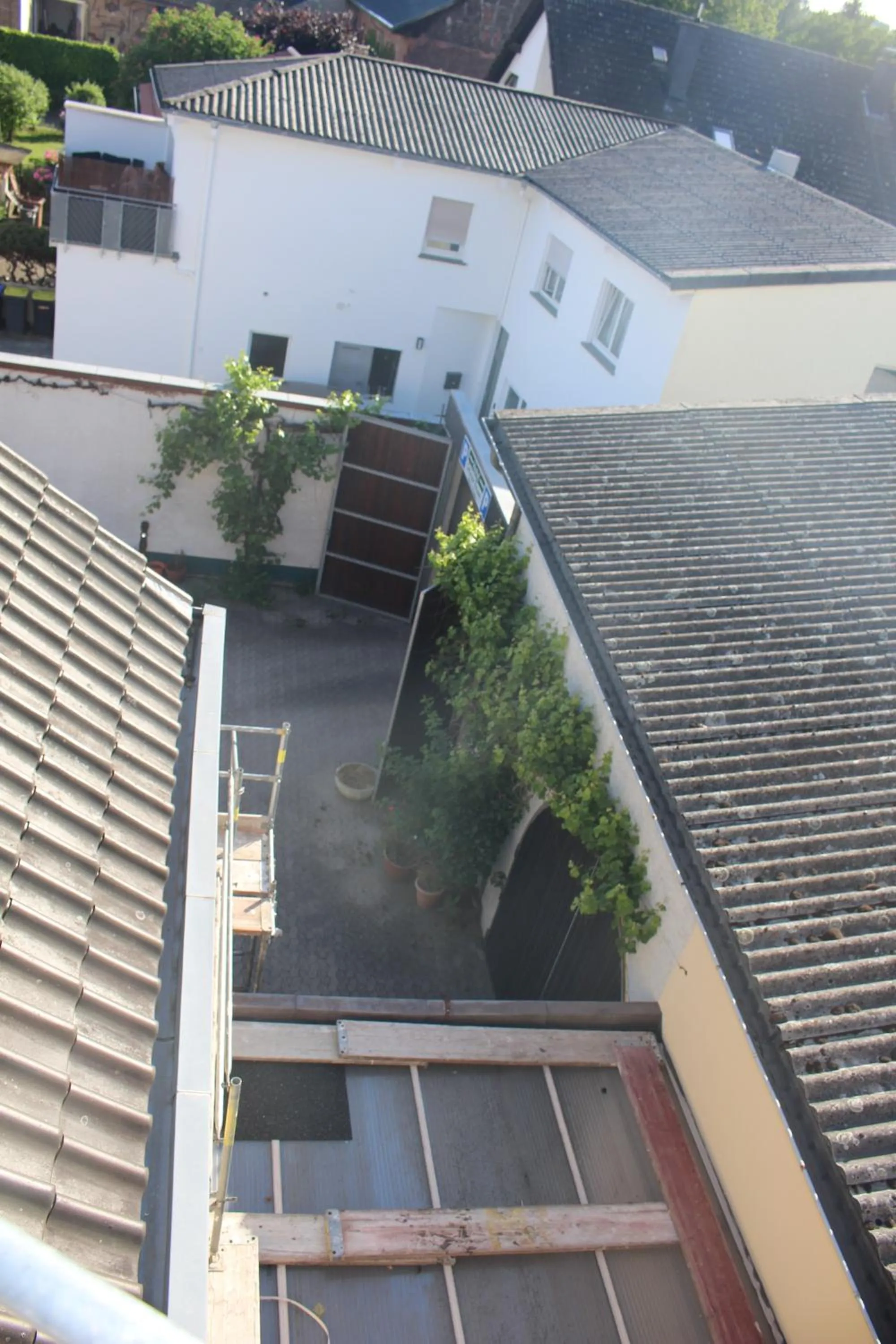 Property building in Hotel Grüner Baum