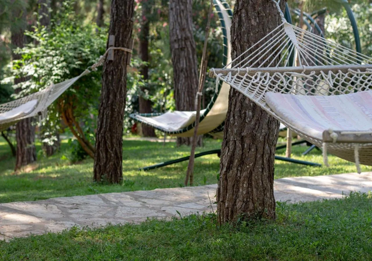 Garden in Hotel Greenland - All Inclusive