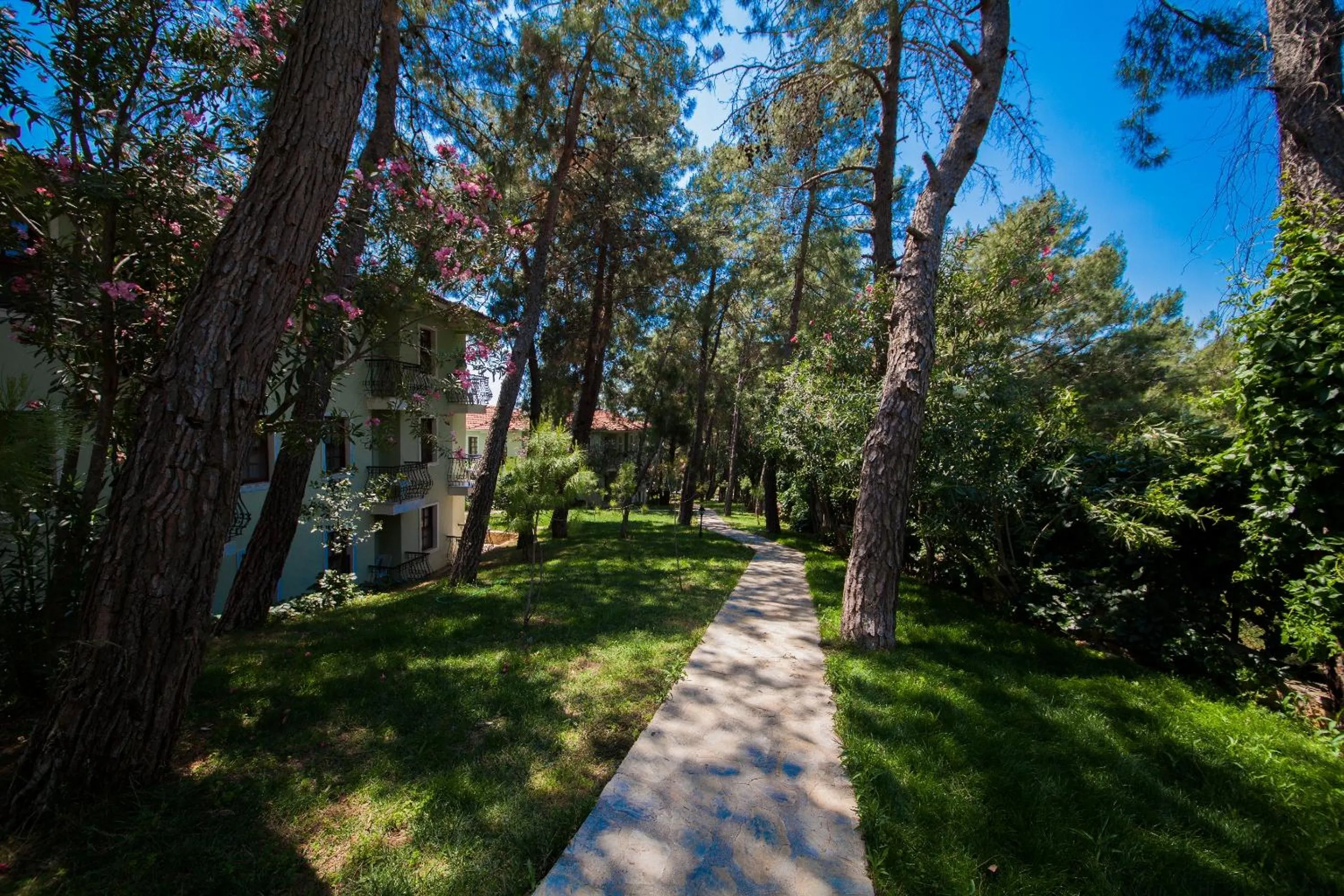 Garden view in Hotel Greenland - All Inclusive