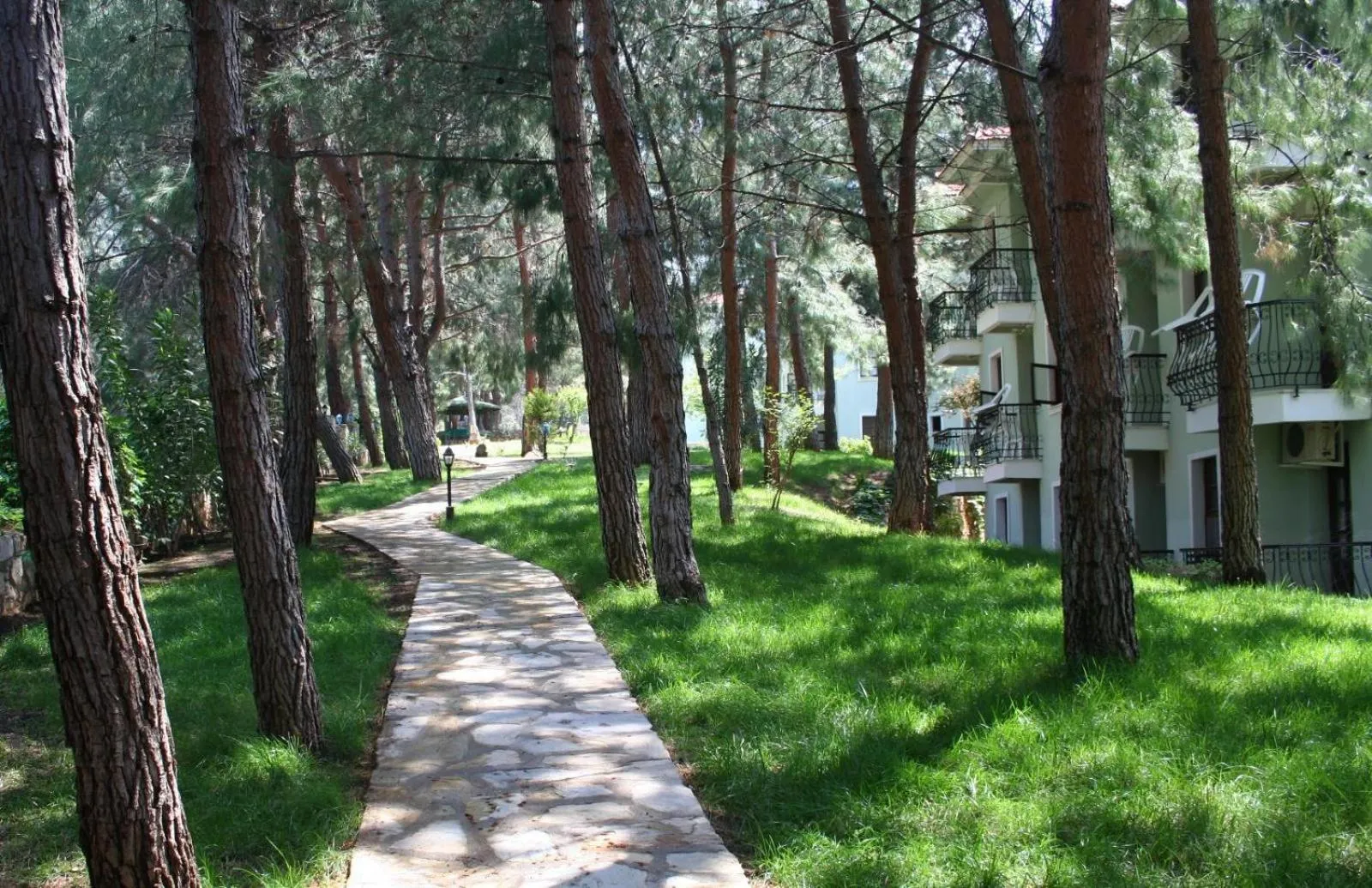 Natural landscape in Hotel Greenland - All Inclusive