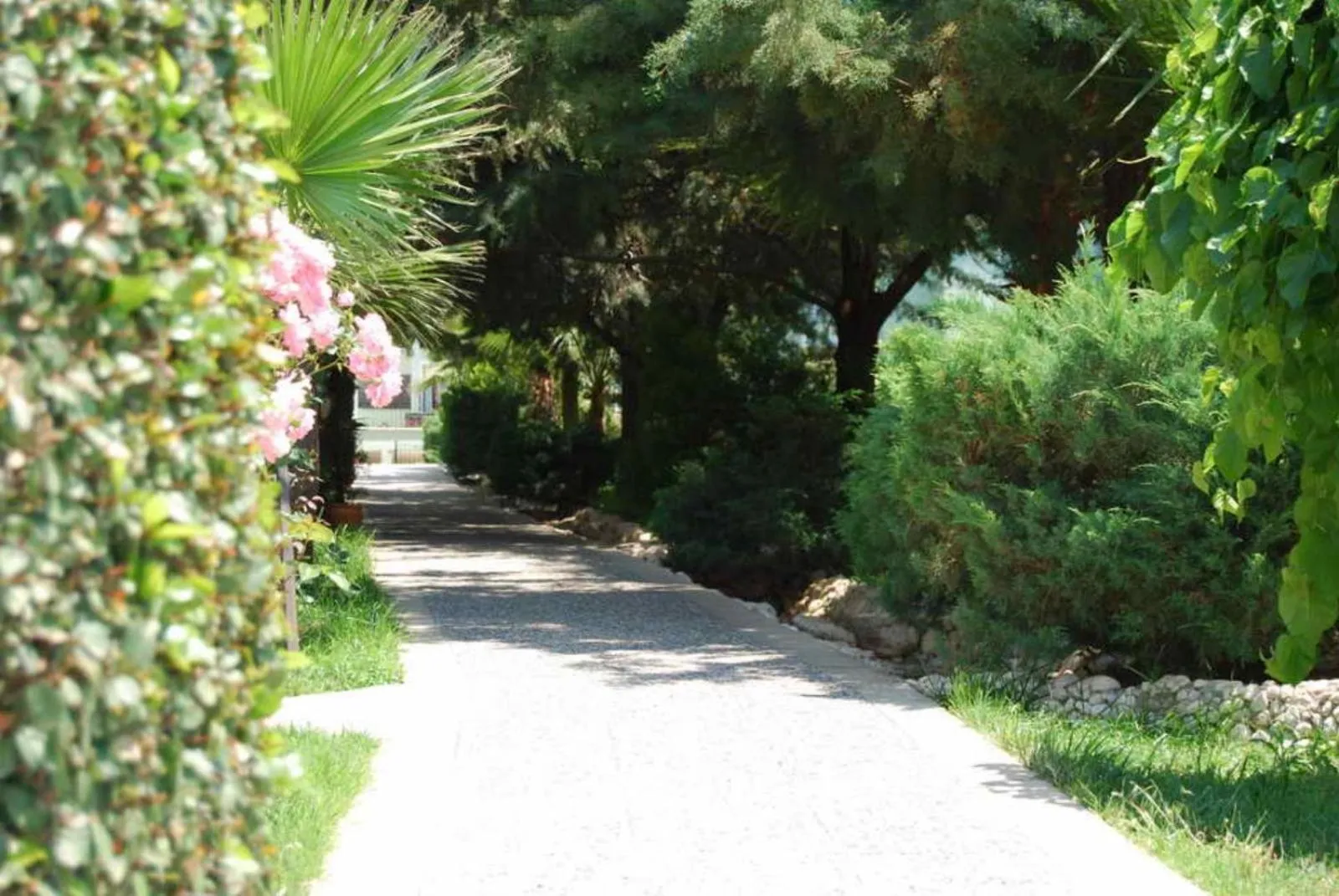 Garden view in Hotel Greenland - All Inclusive