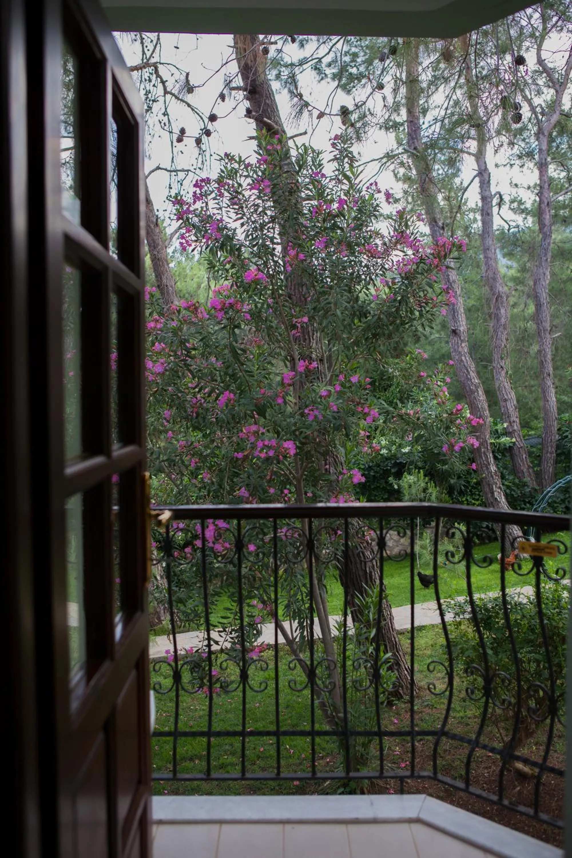 Mountain view in Hotel Greenland - All Inclusive