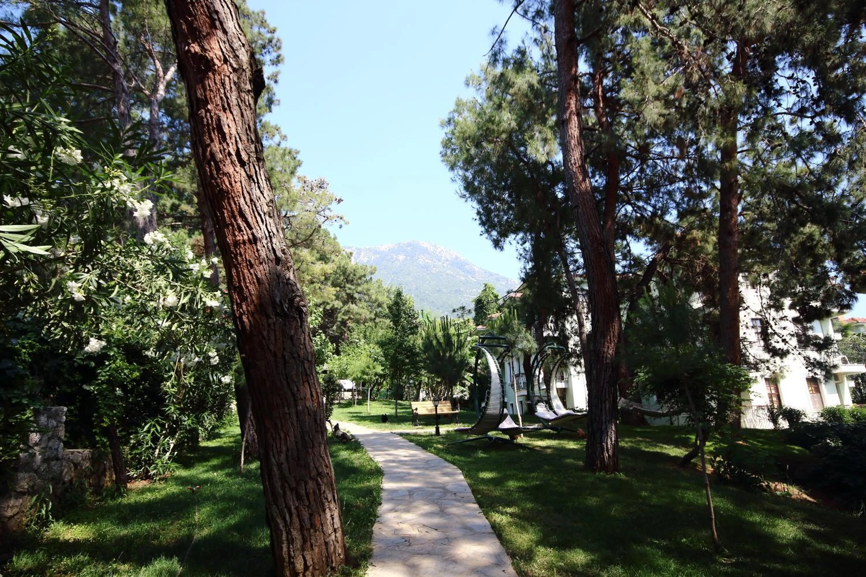 Garden in Hotel Greenland - All Inclusive