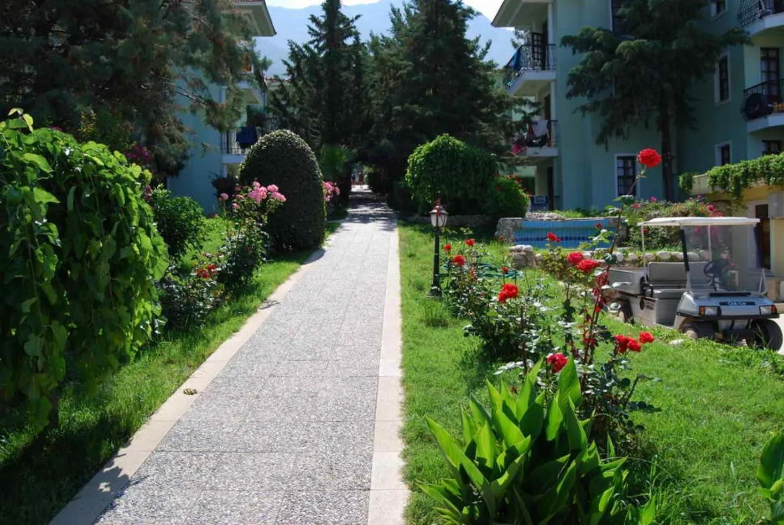 Garden view in Hotel Greenland - All Inclusive