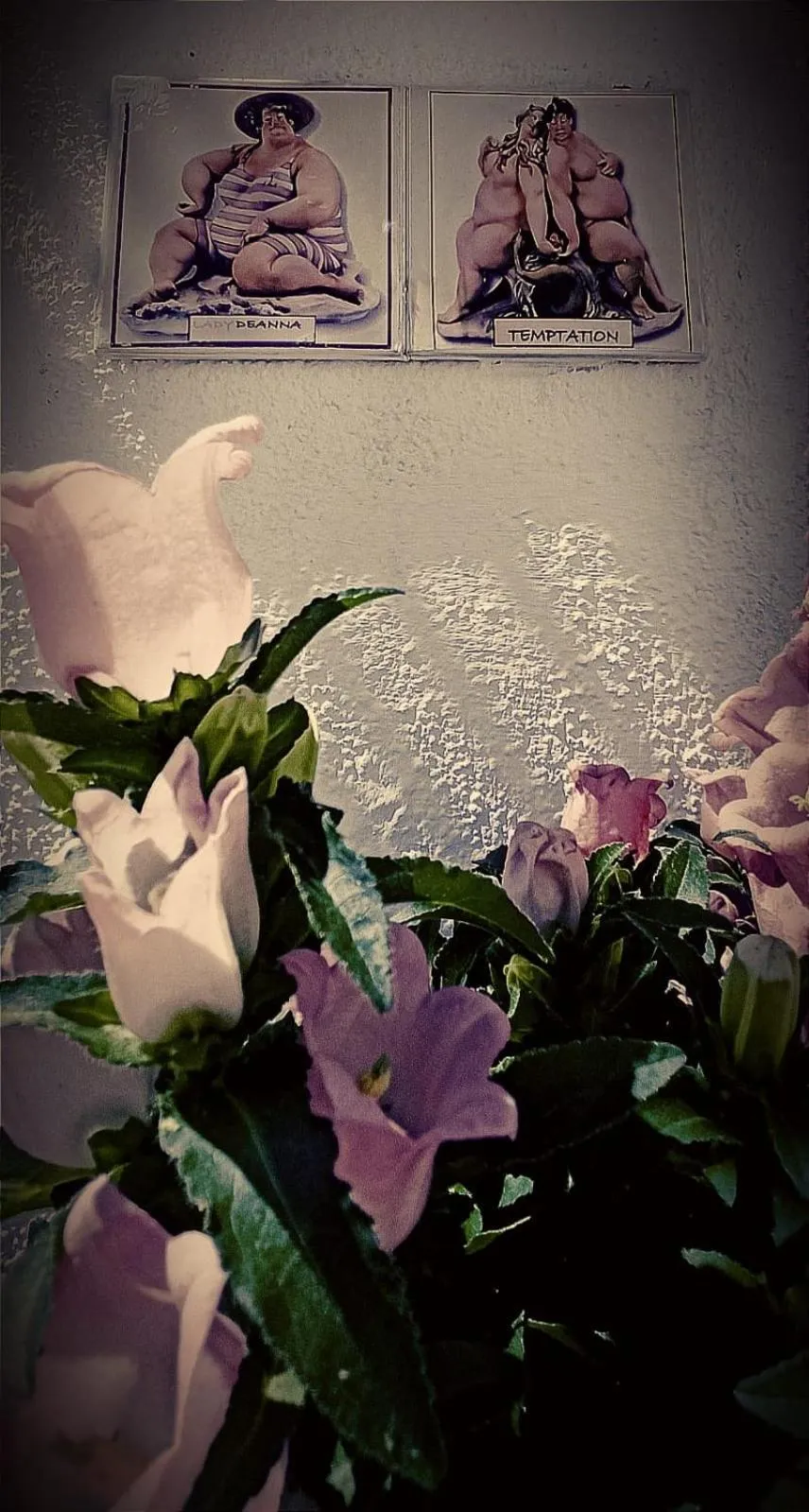 Donnaciccina Accomodation