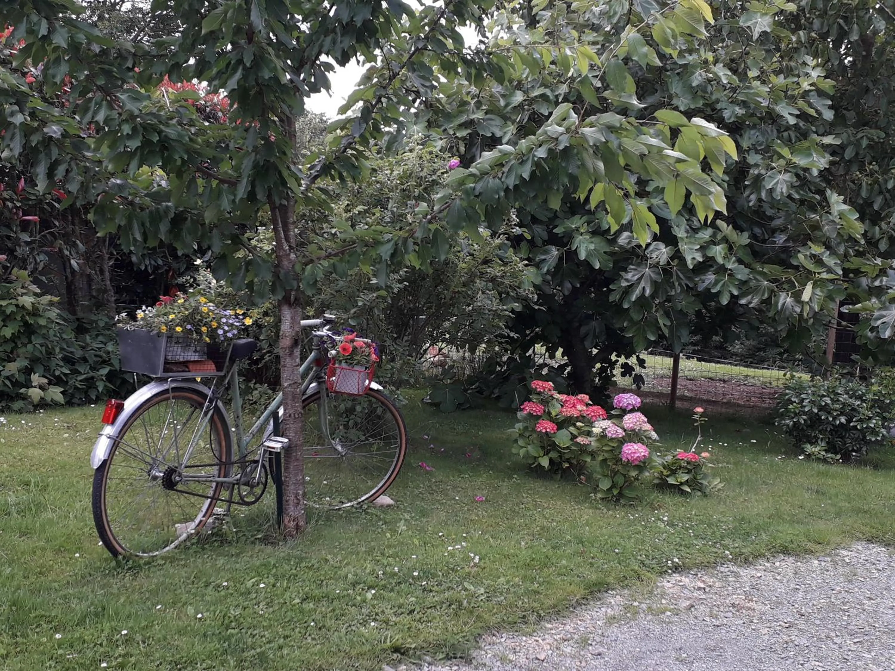 Garden in Maison d'hôtes Les Vallées