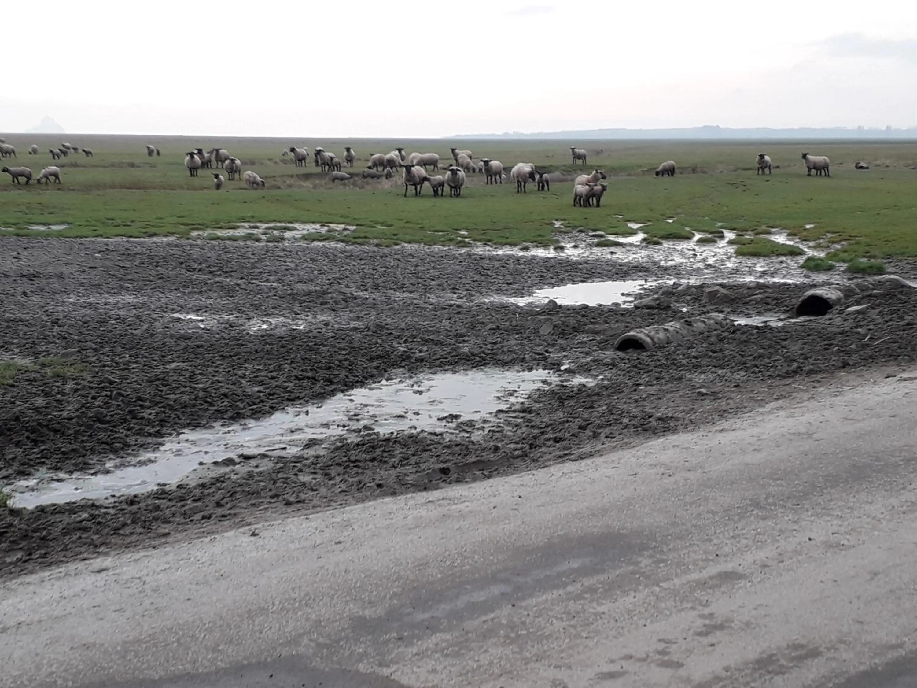 Maison d'hôtes Les Vallées