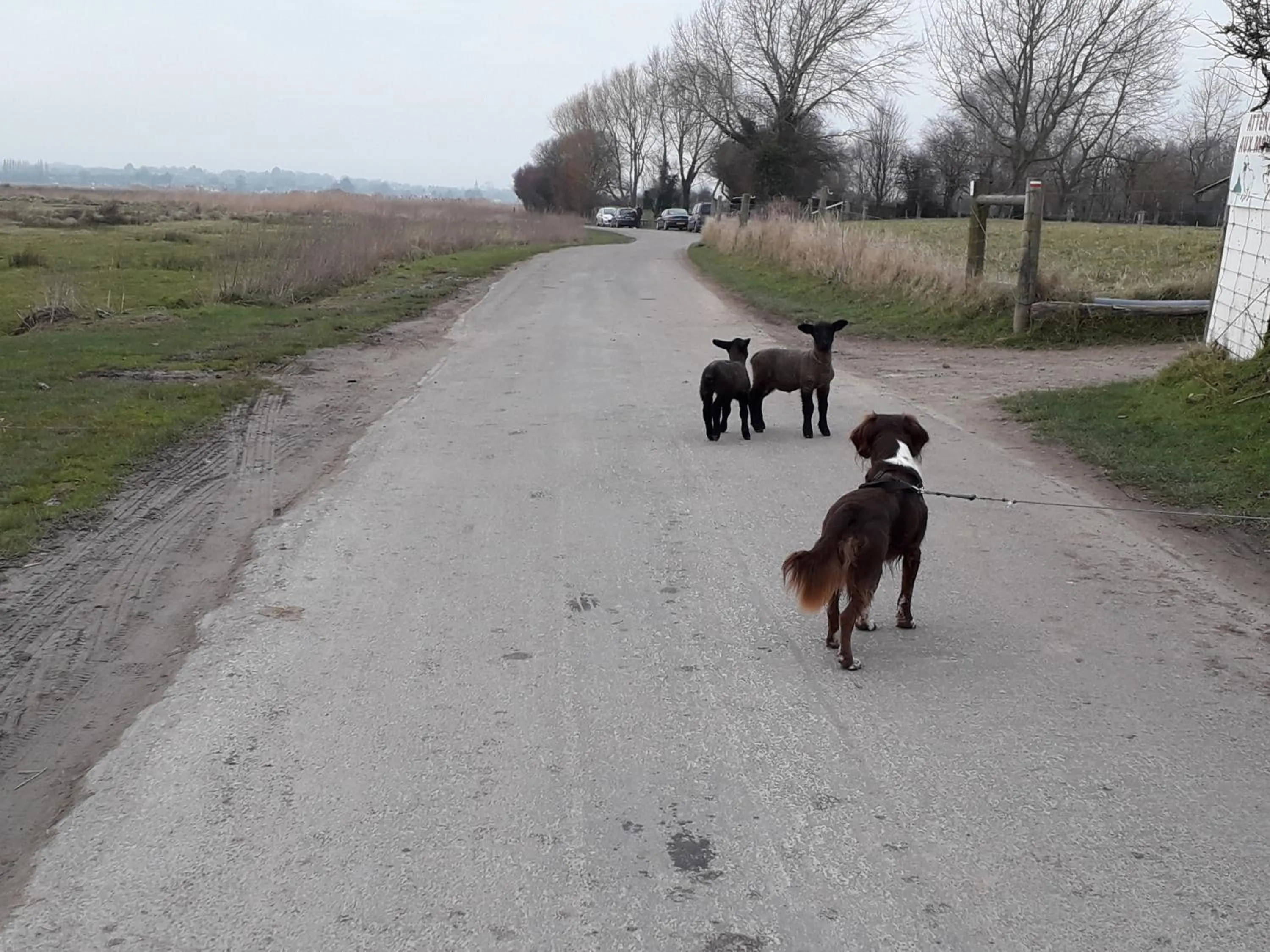 Animals in Maison d'hôtes Les Vallées