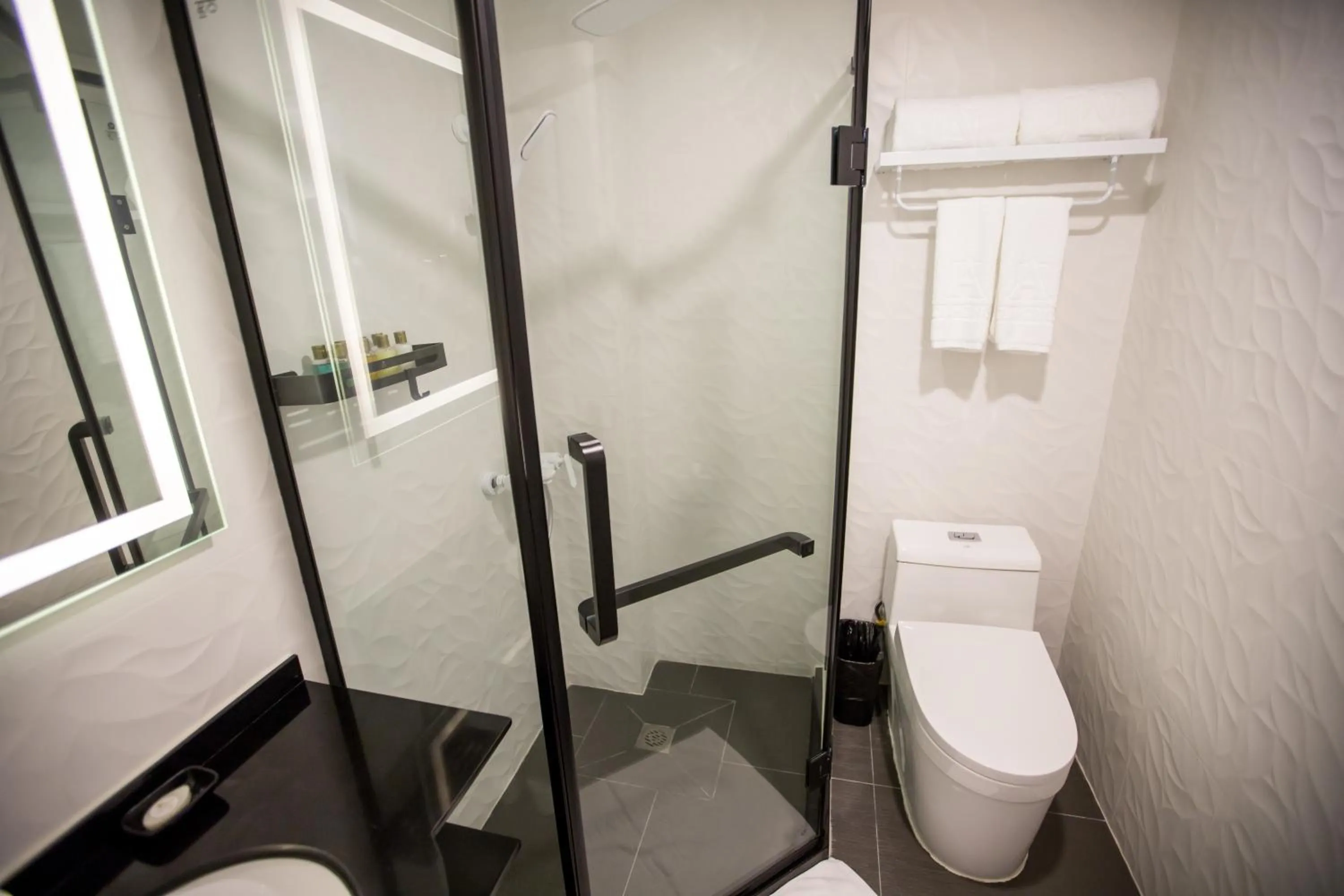 Toilet in Hotel Americano