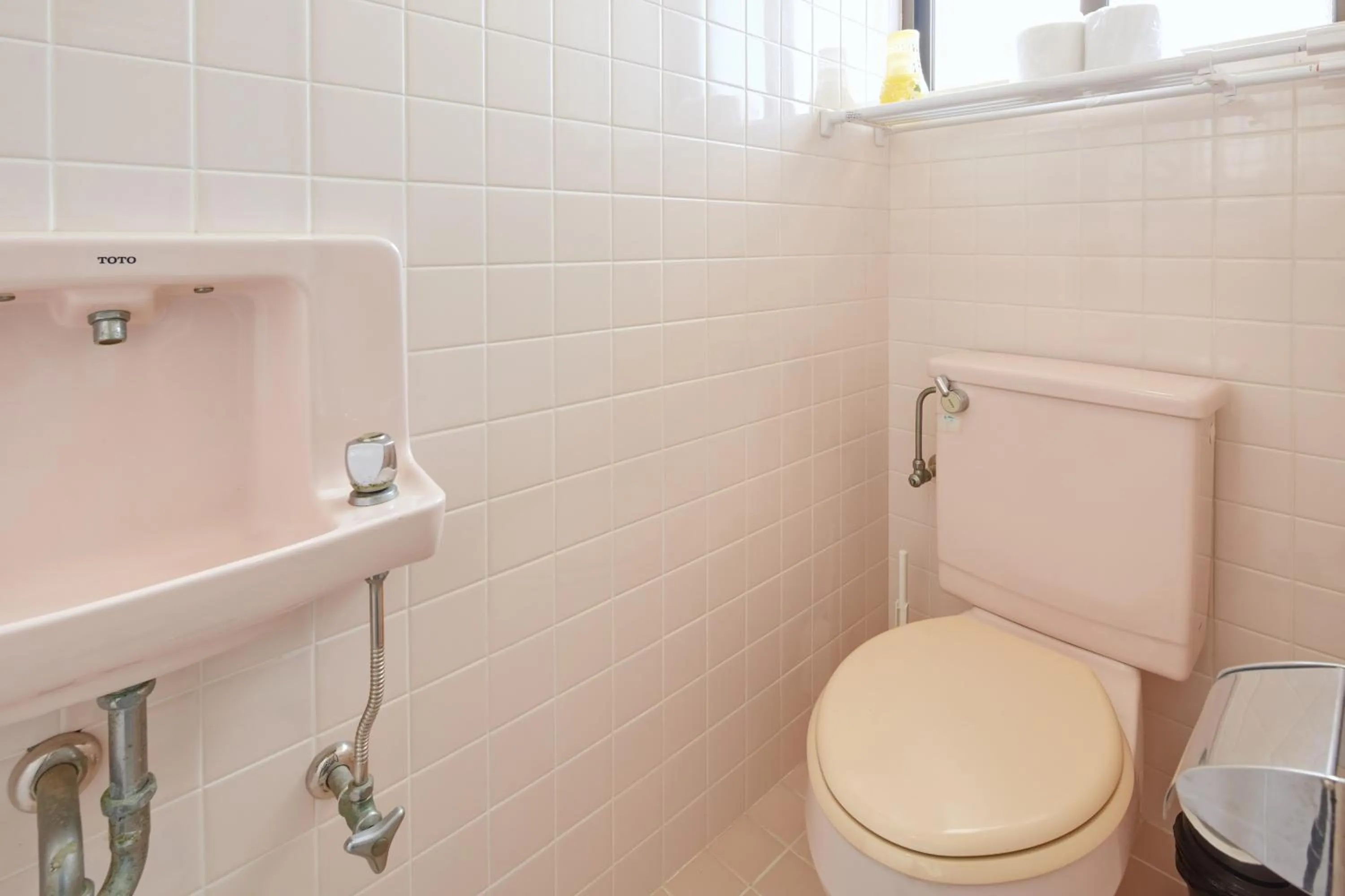 Toilet in Wind Henza